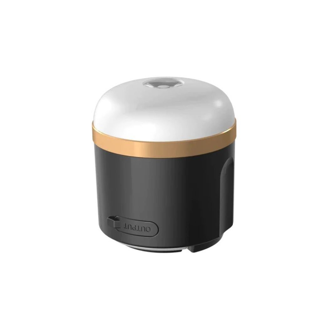 Ecoflow Gartenleuchte EcoFlow Campinglampe, Ein/Ausschalter, Dimmung, günstig online kaufen