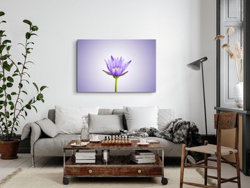 Sinus Art Leinwandbild 120x80cm Wandbild auf Leinwand Lila Lotusblume Lotus Blume Blüte Kunst, (1 St)