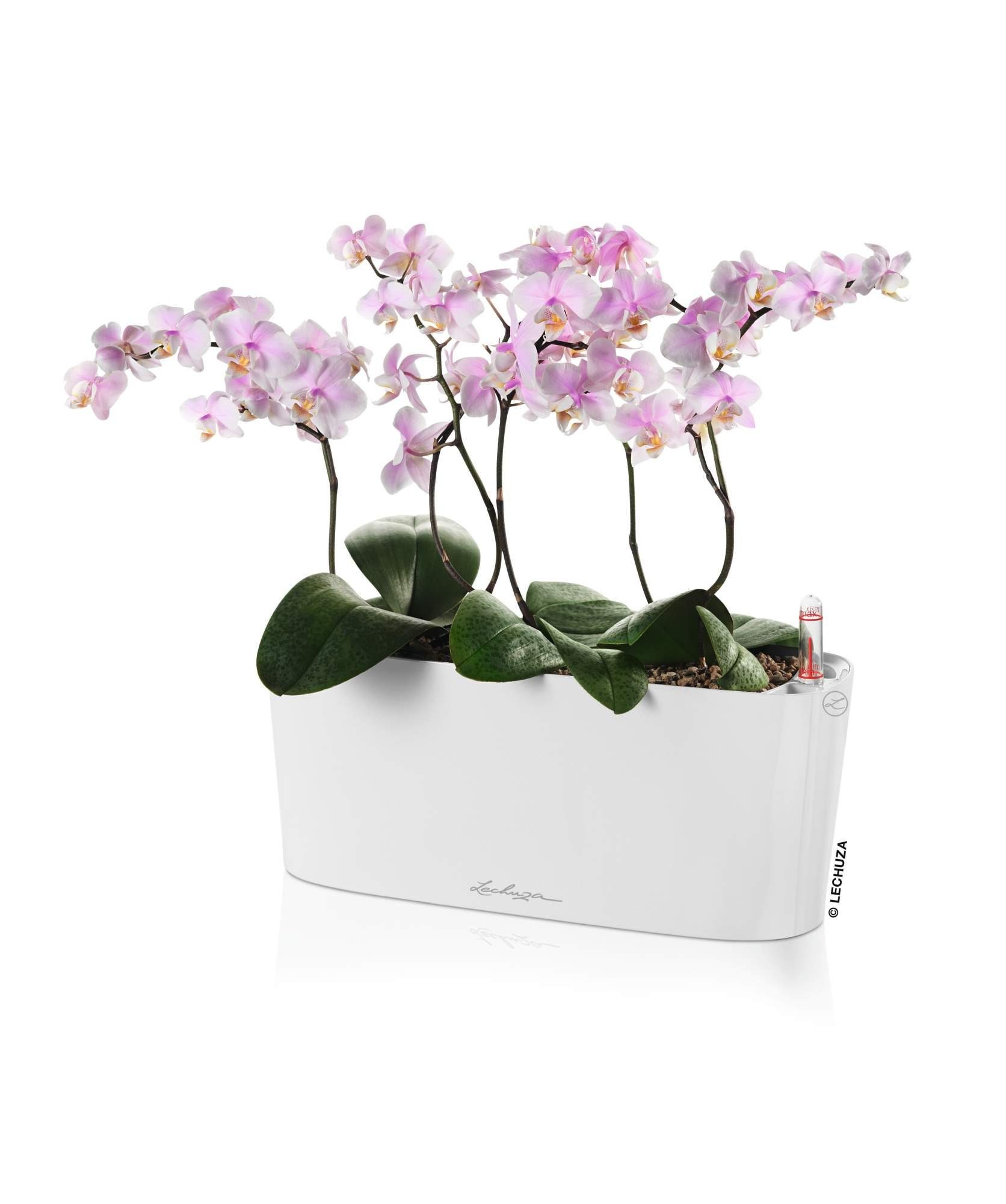 Blumentopf Delta mit Lechuza® St) hochglanz - weiß Wasserspeicher (1 10