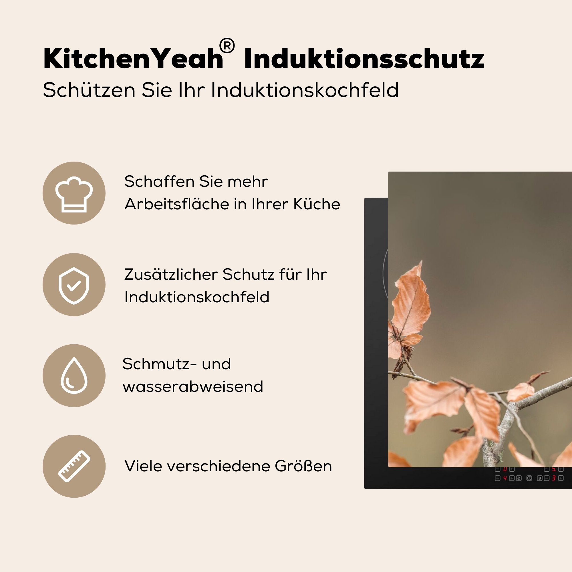 tlg), Gimpel Vogel küche Herbst Vinyl, (1 - - cm, Laub MuchoWow Herdblende-/Abdeckplatte Ceranfeldabdeckung, 81x52 - Arbeitsplatte für -,