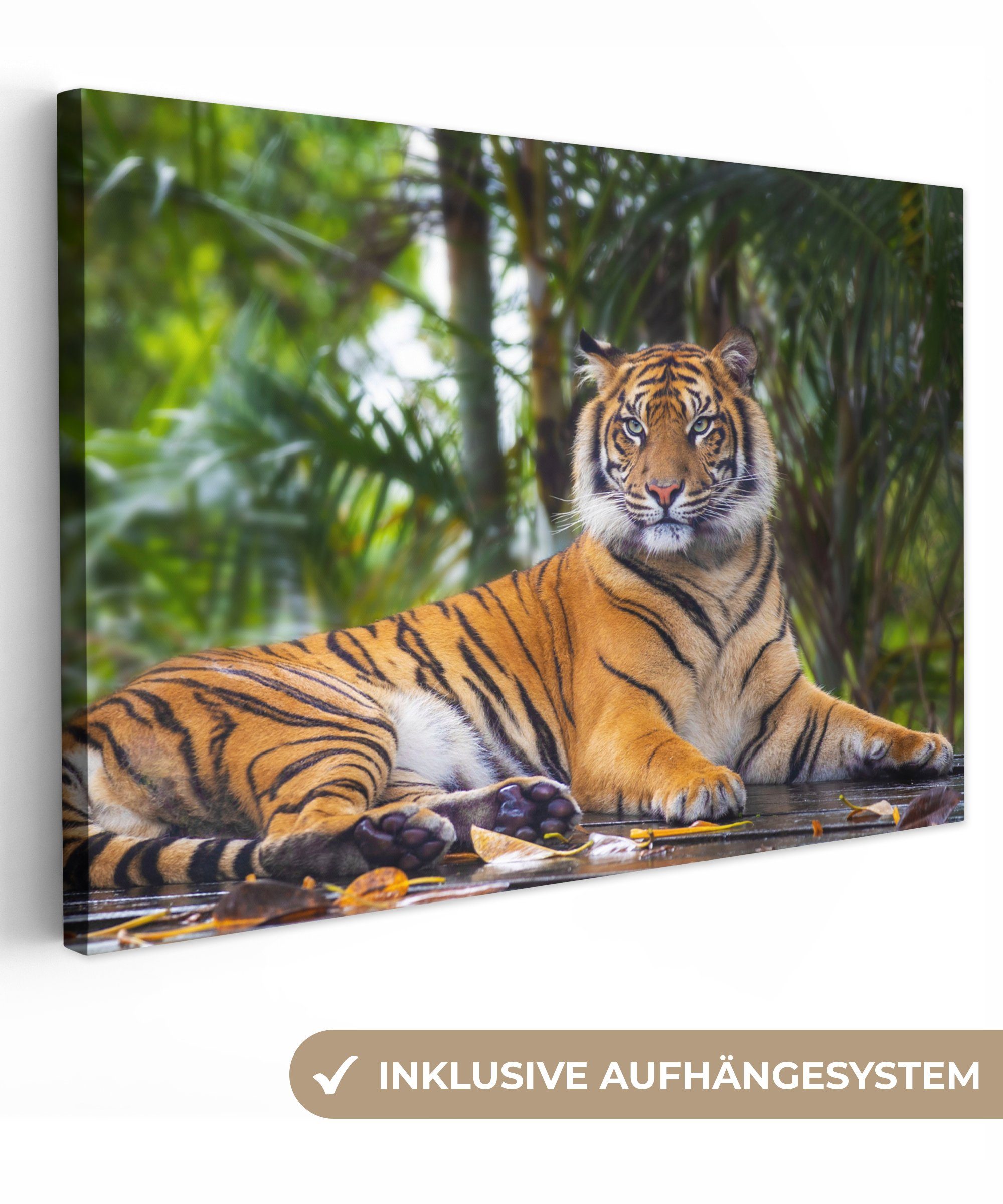 OneMillionCanvasses® Leinwandbild Tiger - Tiere - Wald - Dschungel, Fotodru günstig online kaufen