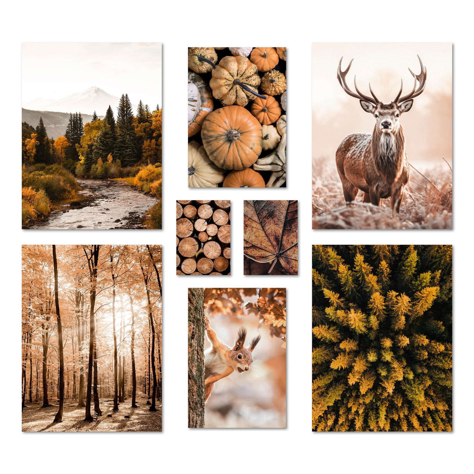 ARTFAVES Bilder-Collage Poster Set - AUTUMN FOREST - Deko Wandbilder braun, grün, herbst, land, (Wandbilder modern, 8 St)