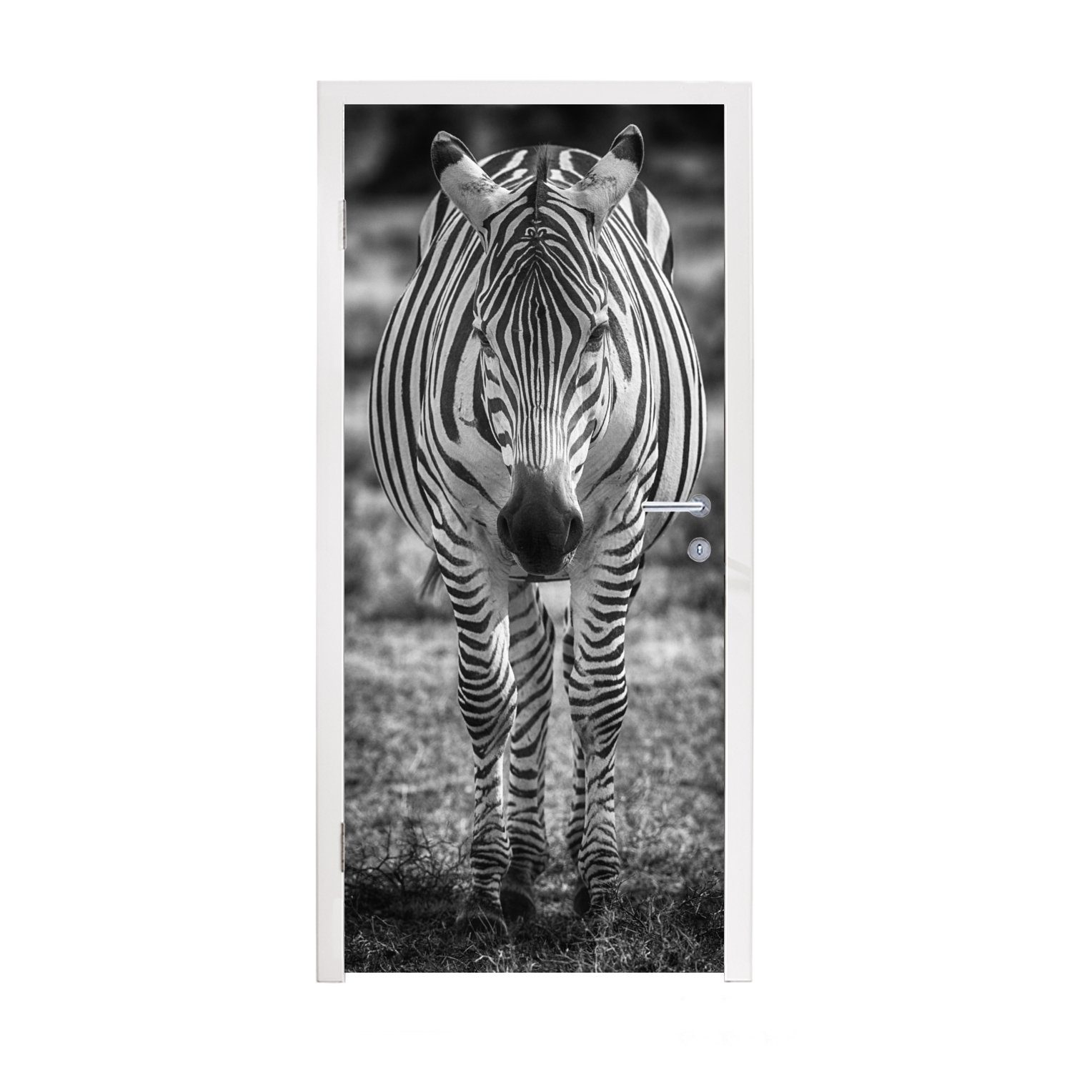 MuchoWow Türtapete Zebra im Gras, Matt, bedruckt, (1 St), Fototapete für Tür, Türaufkleber, 75x205 cm