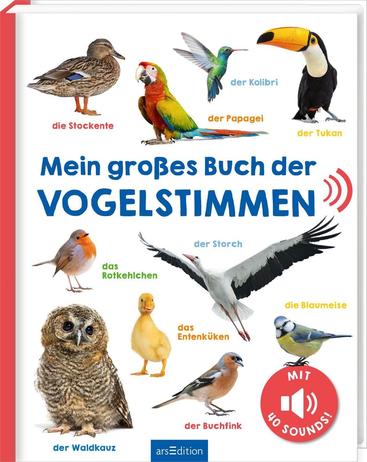 Mein großes Buch der Vogelstimmen / diverse