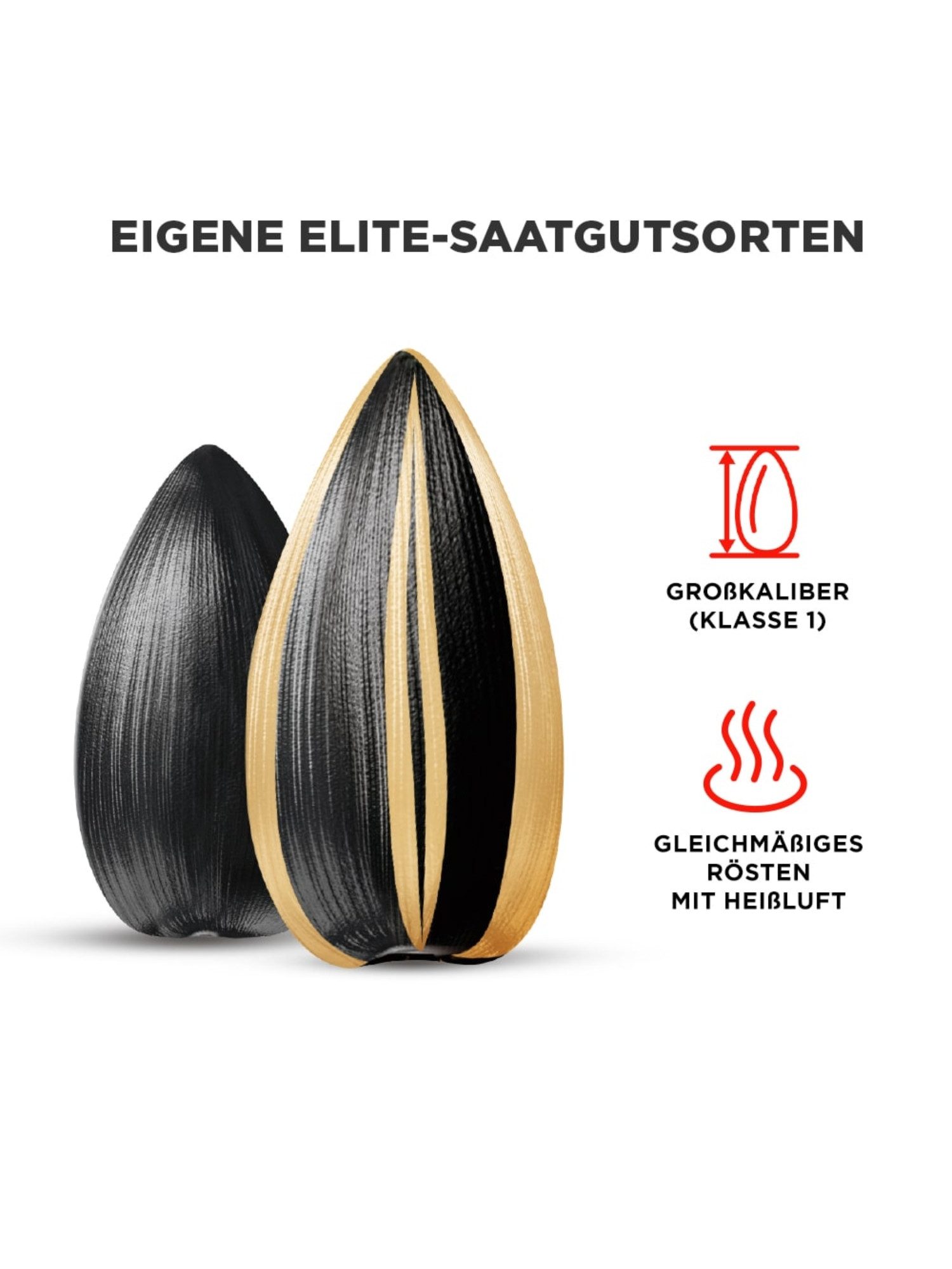 ADELSHOP Knabberei Jinn Striped Sonnenblumenkerne 250g – Geröstet, Gesalzen oder Natur, 250 g, Extra groß, Geröstet, 1, 5er und 12er Sets