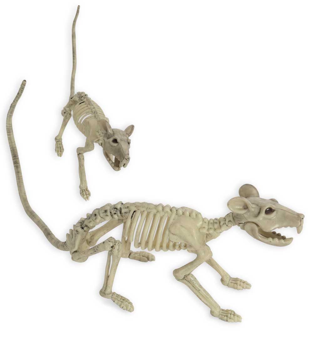 Fries Tierfigur Deko Skelett Ratte 34 günstig online kaufen