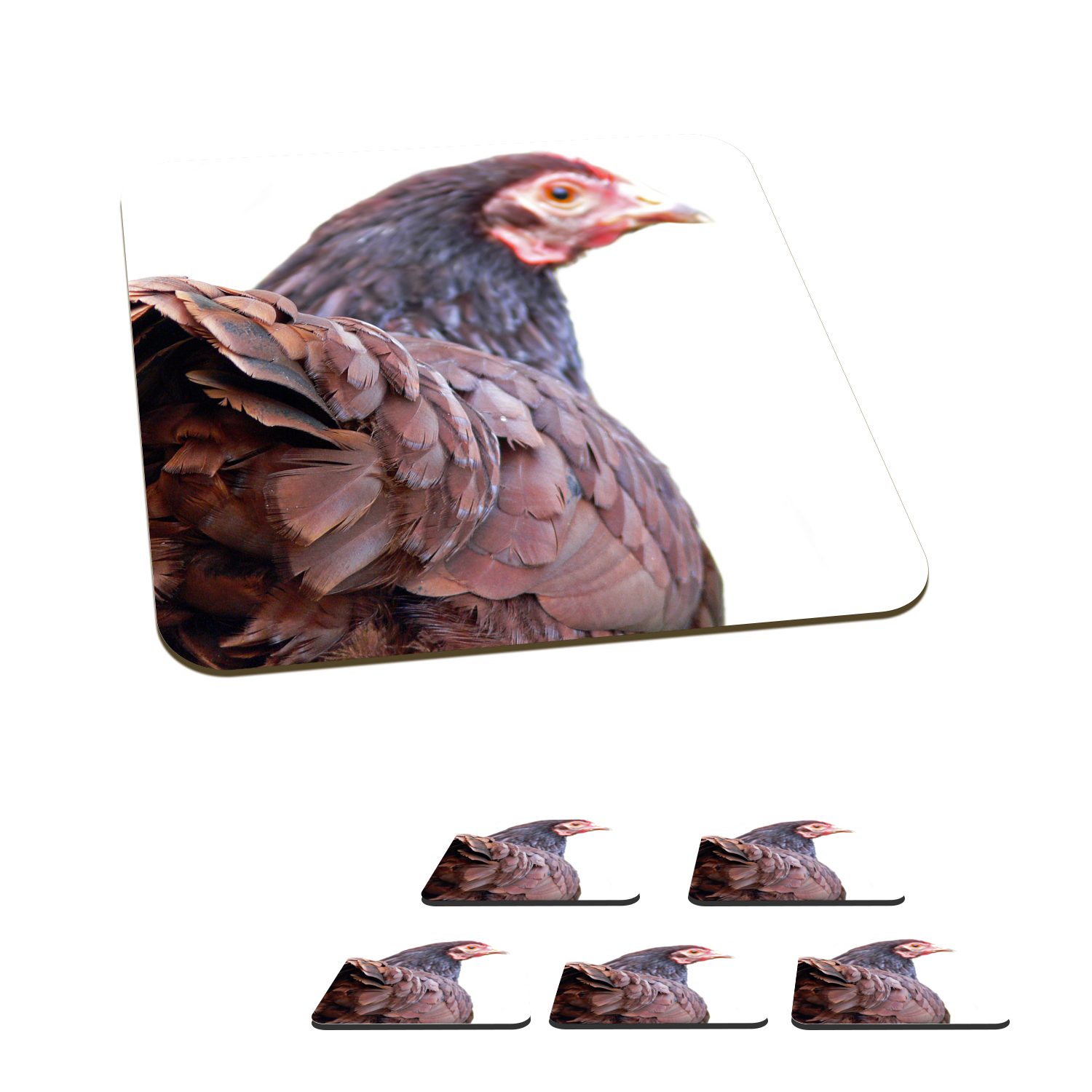 MuchoWow Glasuntersetzer Rückansicht eines Huhns, Zubehör für Gläser, 6-tlg., Glasuntersetzer, Tischuntersetzer, Korkuntersetzer, Untersetzer, Tasse