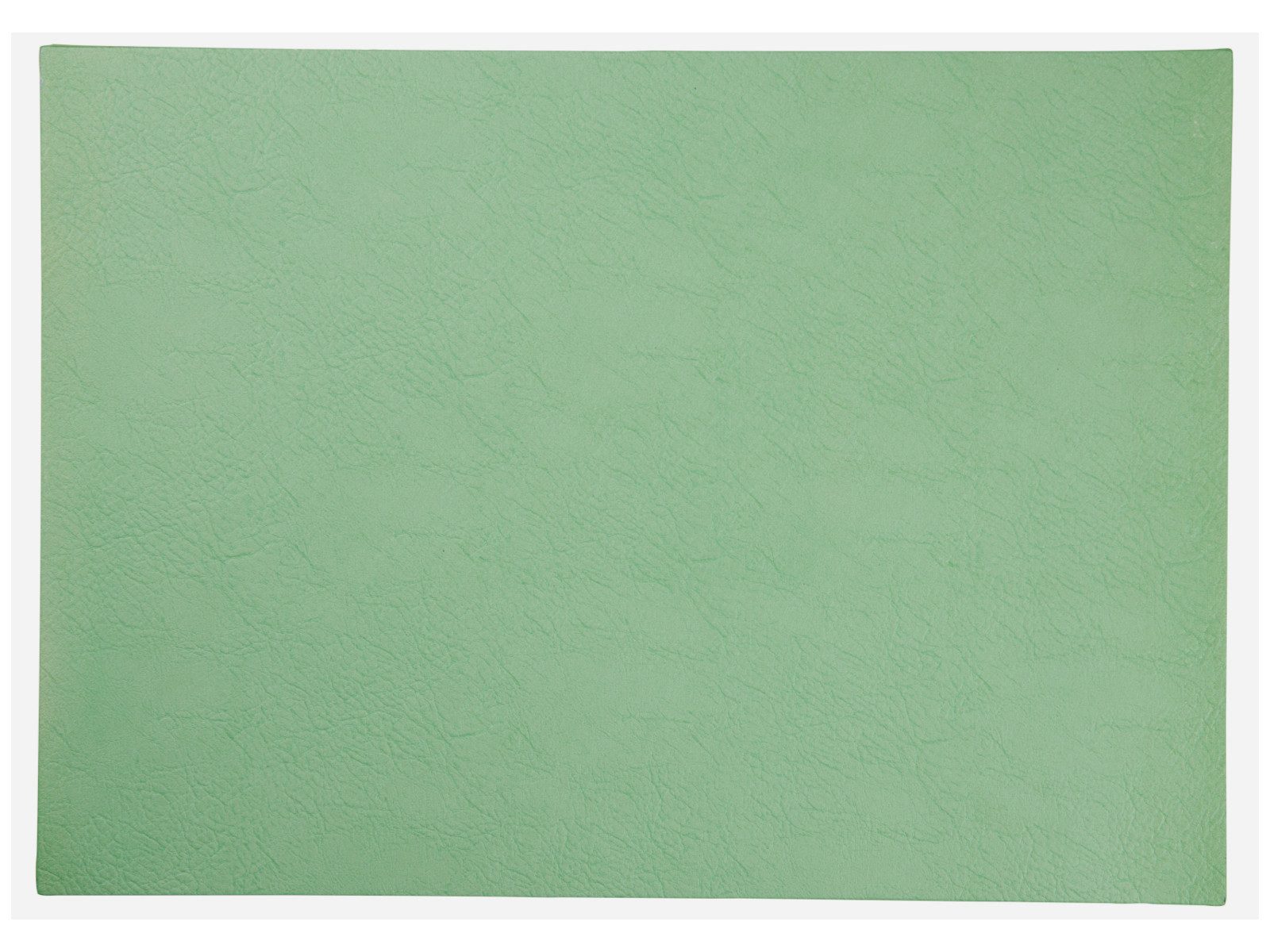 Platzset vegan leather Tischset basil 46x33cm