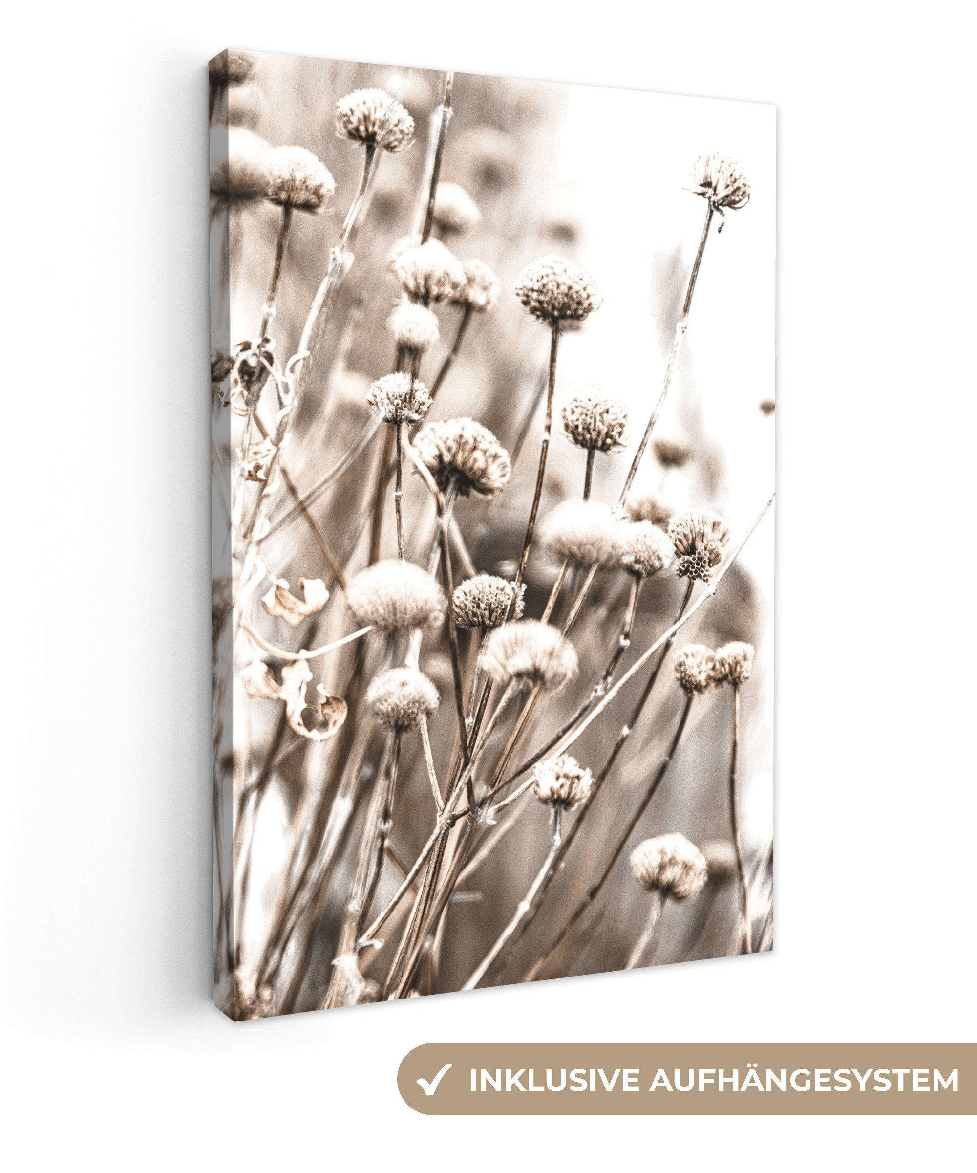 OneMillionCanvasses® Leinwandbild Blumen - Pflanzen - günstig online kaufen