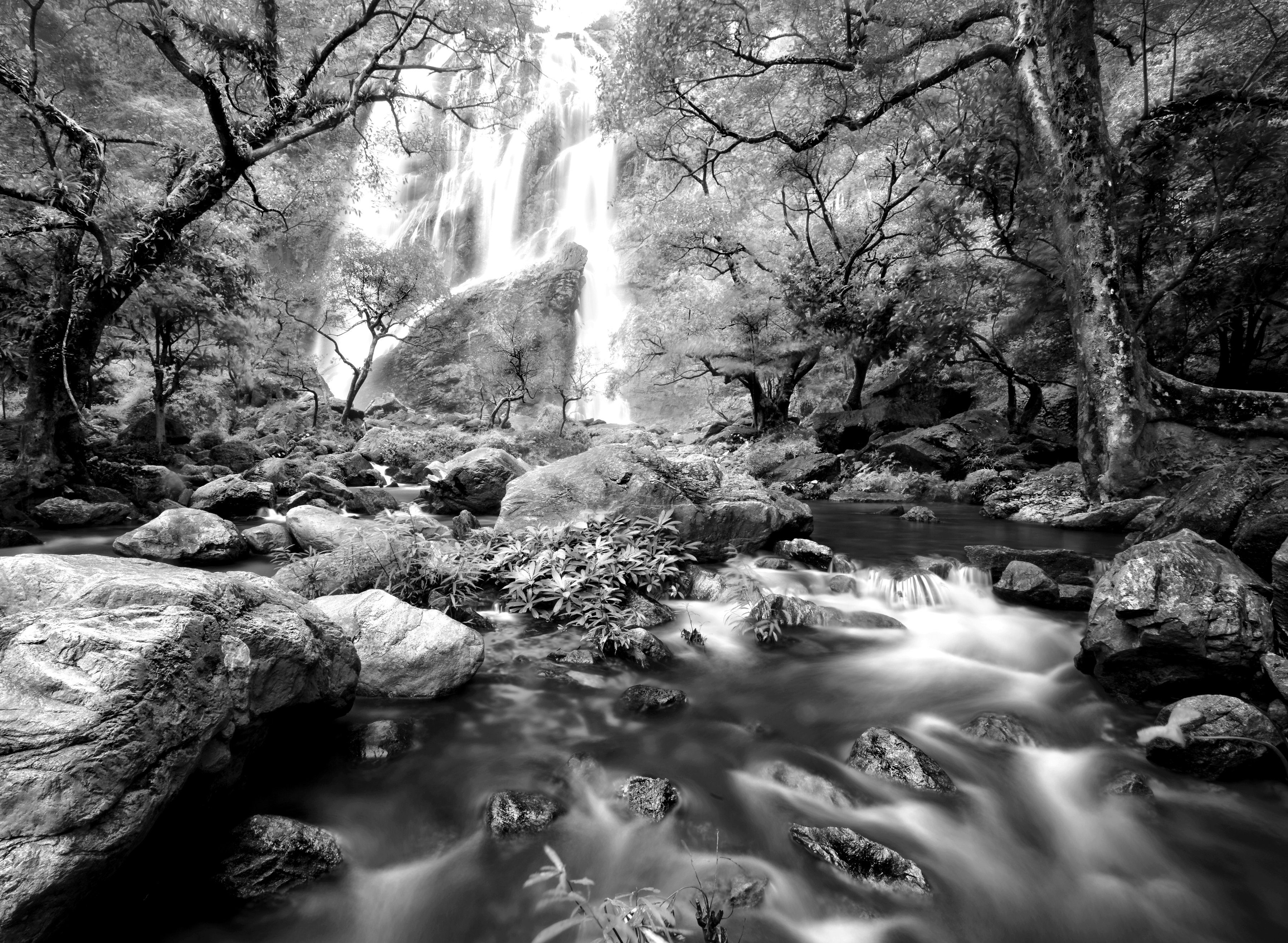 im Fototapete Weiß Wald & Schwarz Wasserfall Papermoon