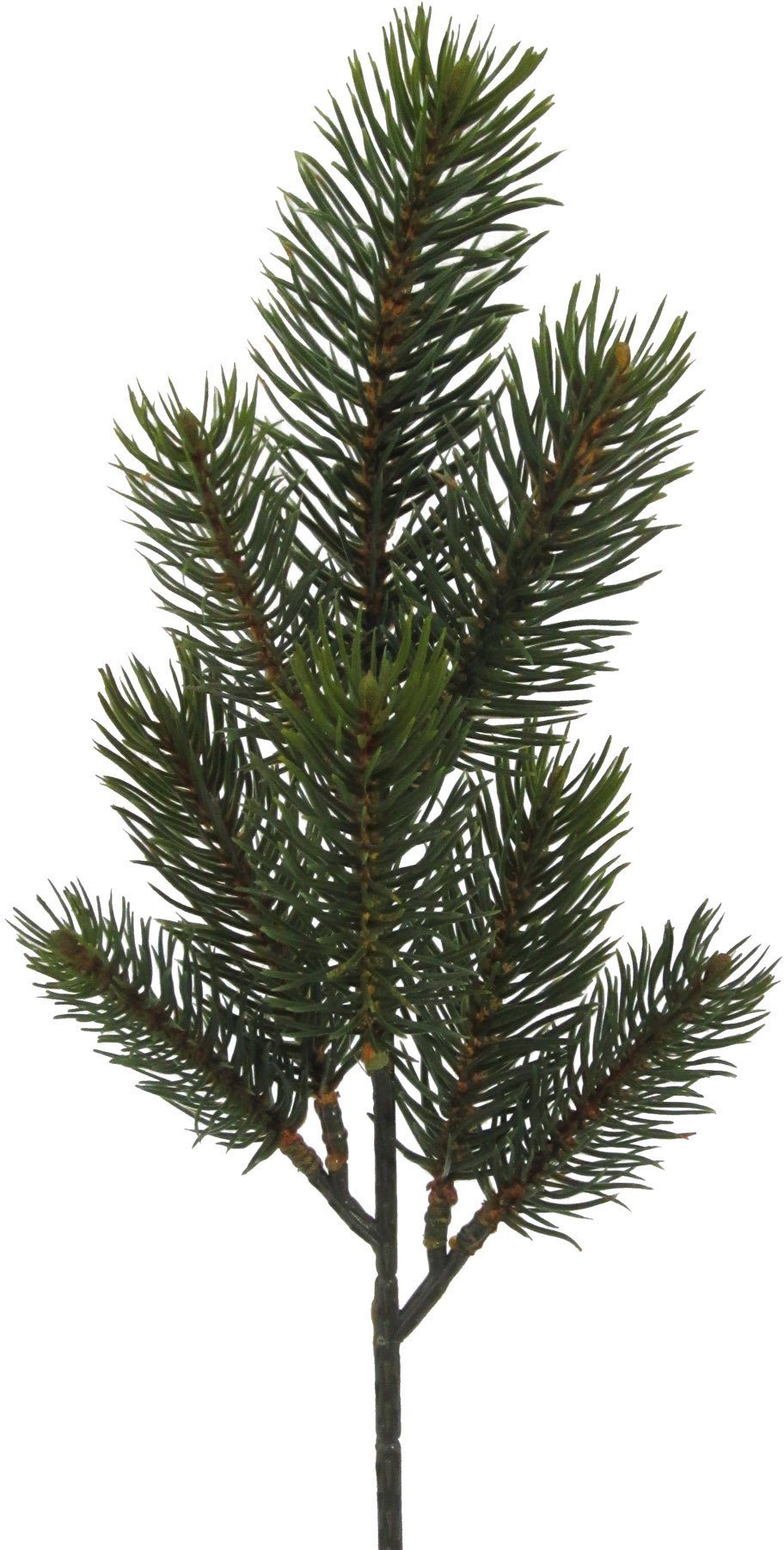 Winterliche Kunstpflanze Weihnachtsdeko Tanne, Creativ green, Höhe 40 cm, Z günstig online kaufen