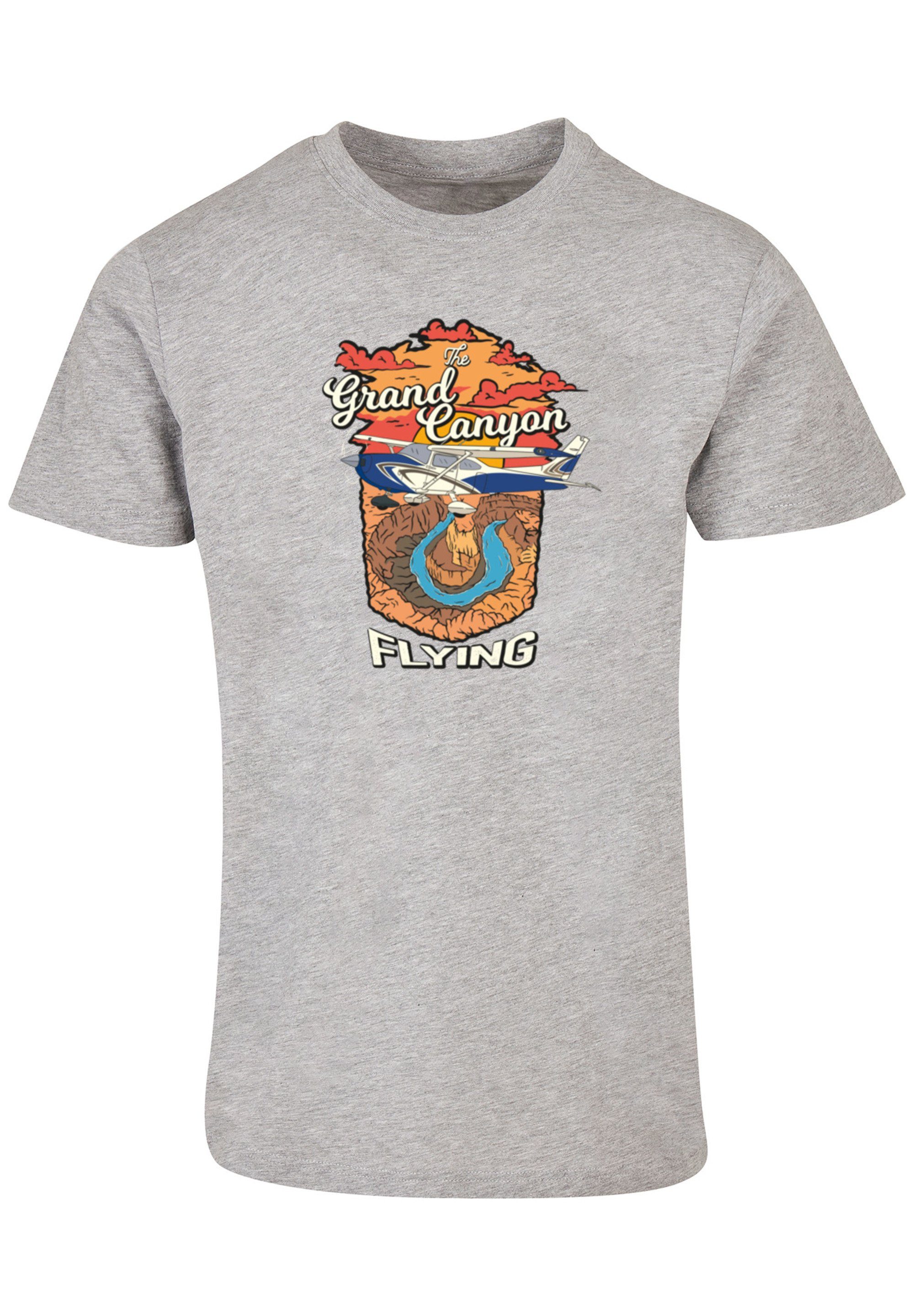 F4NT4STIC T-Shirt Grand Canyon Flying grey Print heather