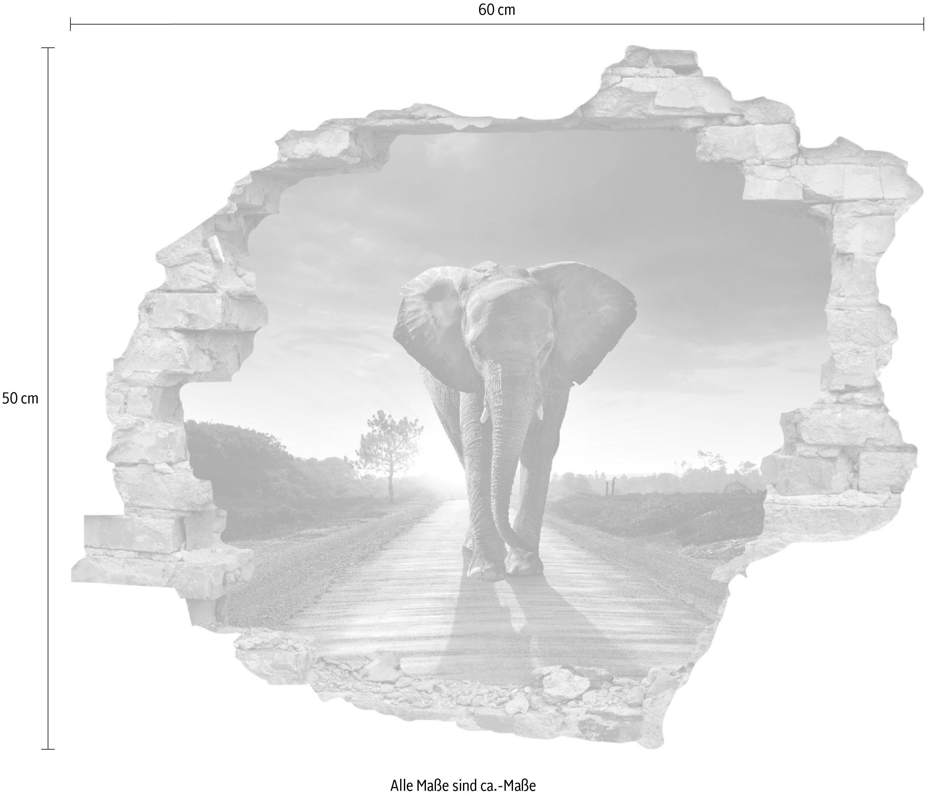 queence Wandtattoo Elefant (1 St), Wandsticker, Wandbild, selbstklebend, 3D, Wanddurchbruch