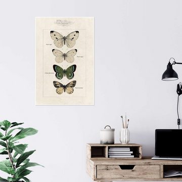 Posterlounge Poster Alexis Nicolas Noel, Tafel der Schmetterlinge, Vintage Illustration