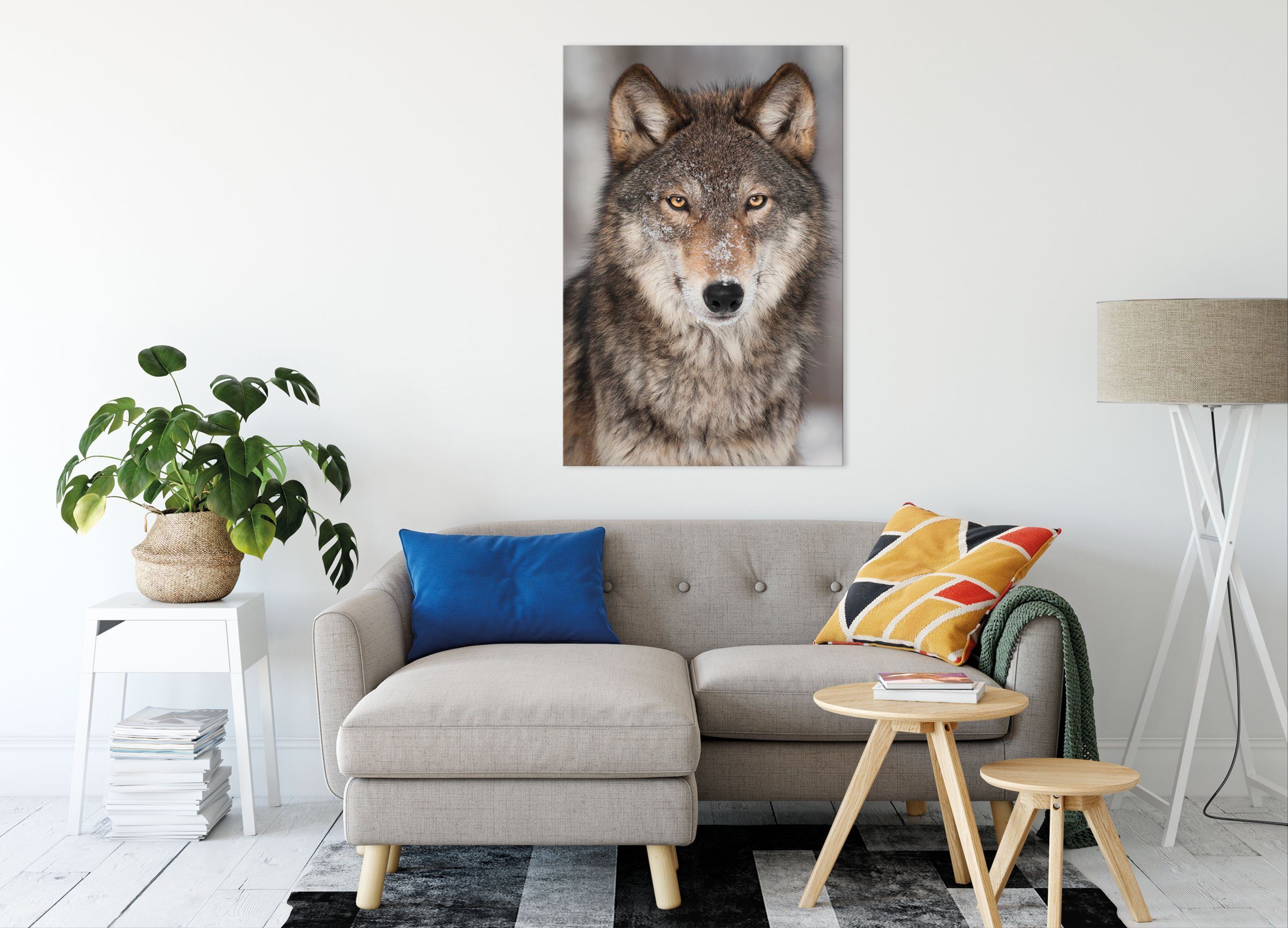 Leinwandbild (1 St), inkl. Wolf Leinwandbild Pixxprint Wolf, fertig bespannt, Wachsamer Wachsamer Zackenaufhänger