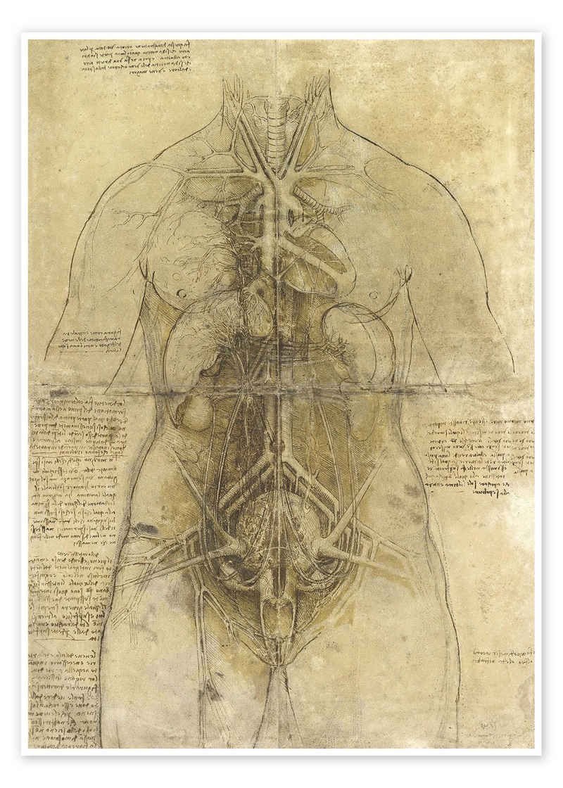 Posterlounge Poster Leonardo da Vinci, Anatomie einer Frau, Malerei