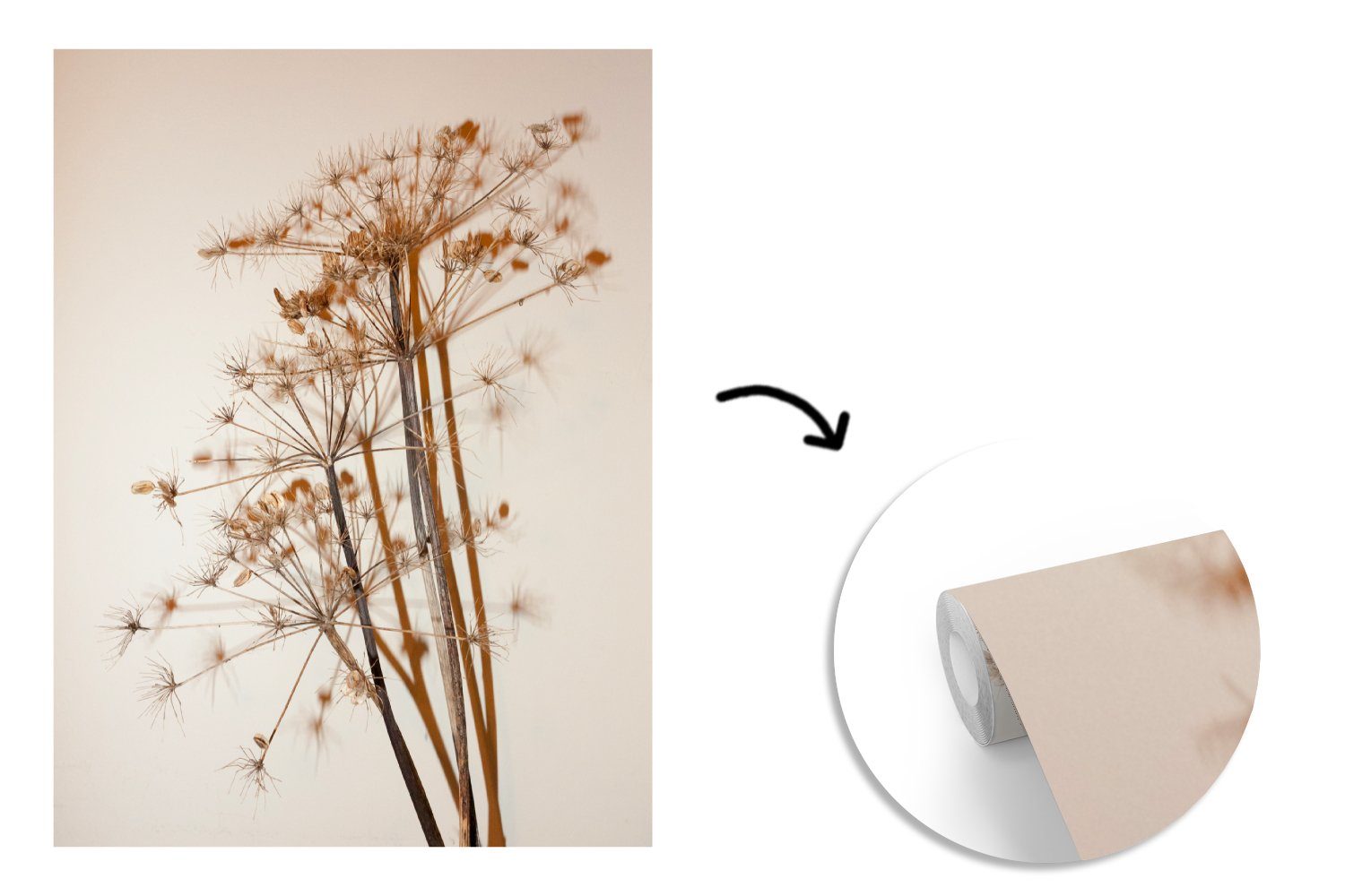 Blumen MuchoWow Wandtapete Montagefertig - (4 Stillleben bedruckt, Wohnzimmer, - Pflanzen Fototapete Blumen, Vinyl - Getrocknete Matt, - St), Weiß Tapete für