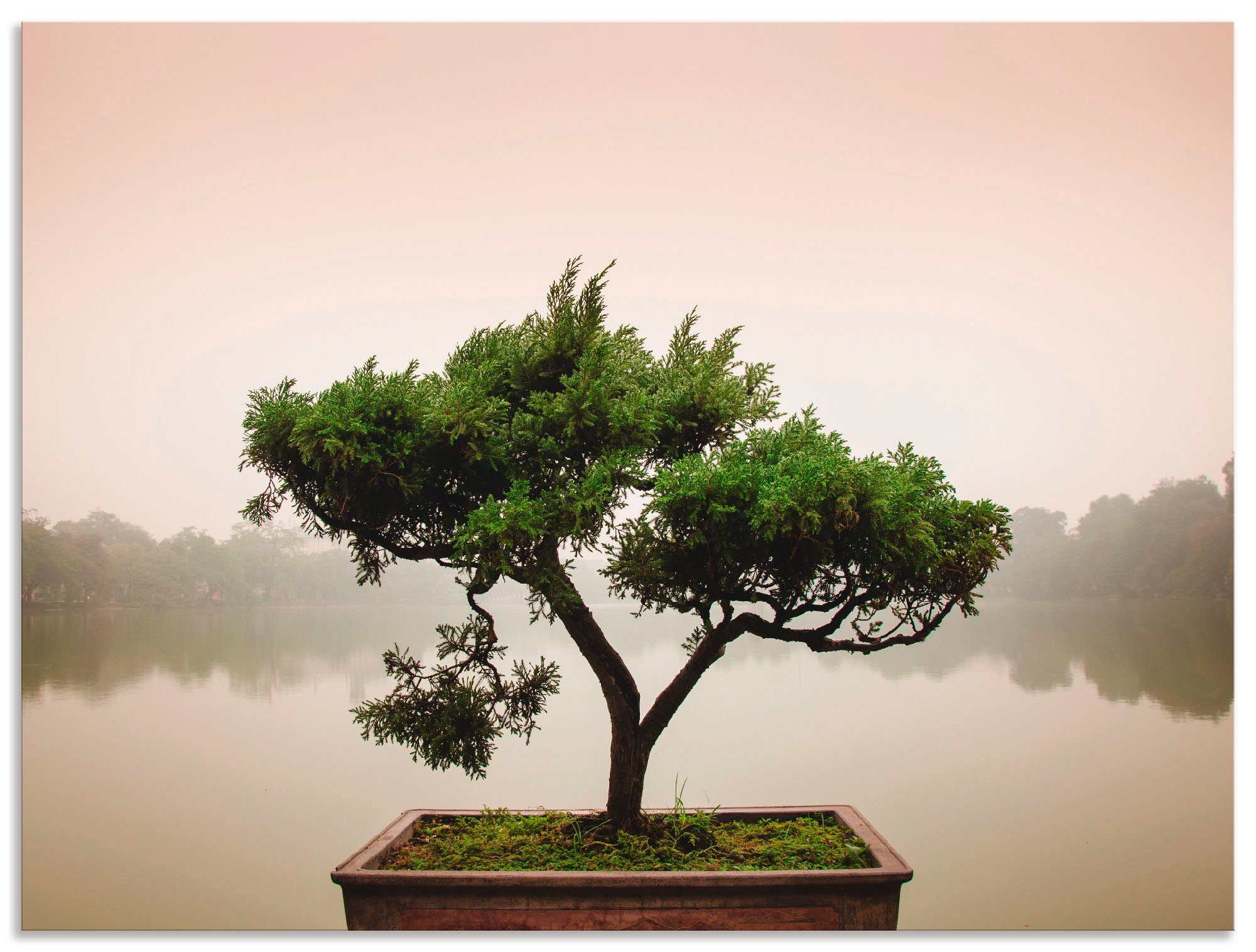Wandaufkleber als (1 Bonsaibaum, St), oder Artland Wandbild Alubild, versch. Poster Bäume Leinwandbild, in Chinesischer Größen