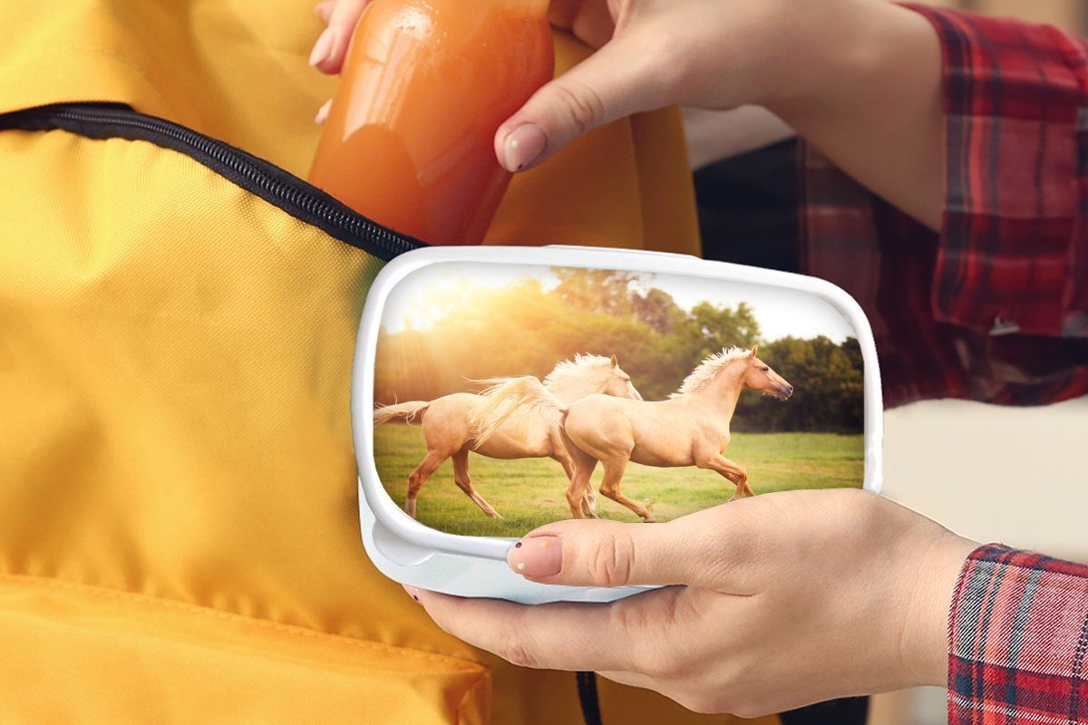 für - Gras MuchoWow Kunststoff, Mädchen für - Lunchbox Pferde Brotbox (2-tlg), weiß und Erwachsene, Kinder Jungs Brotdose, Sonne, und