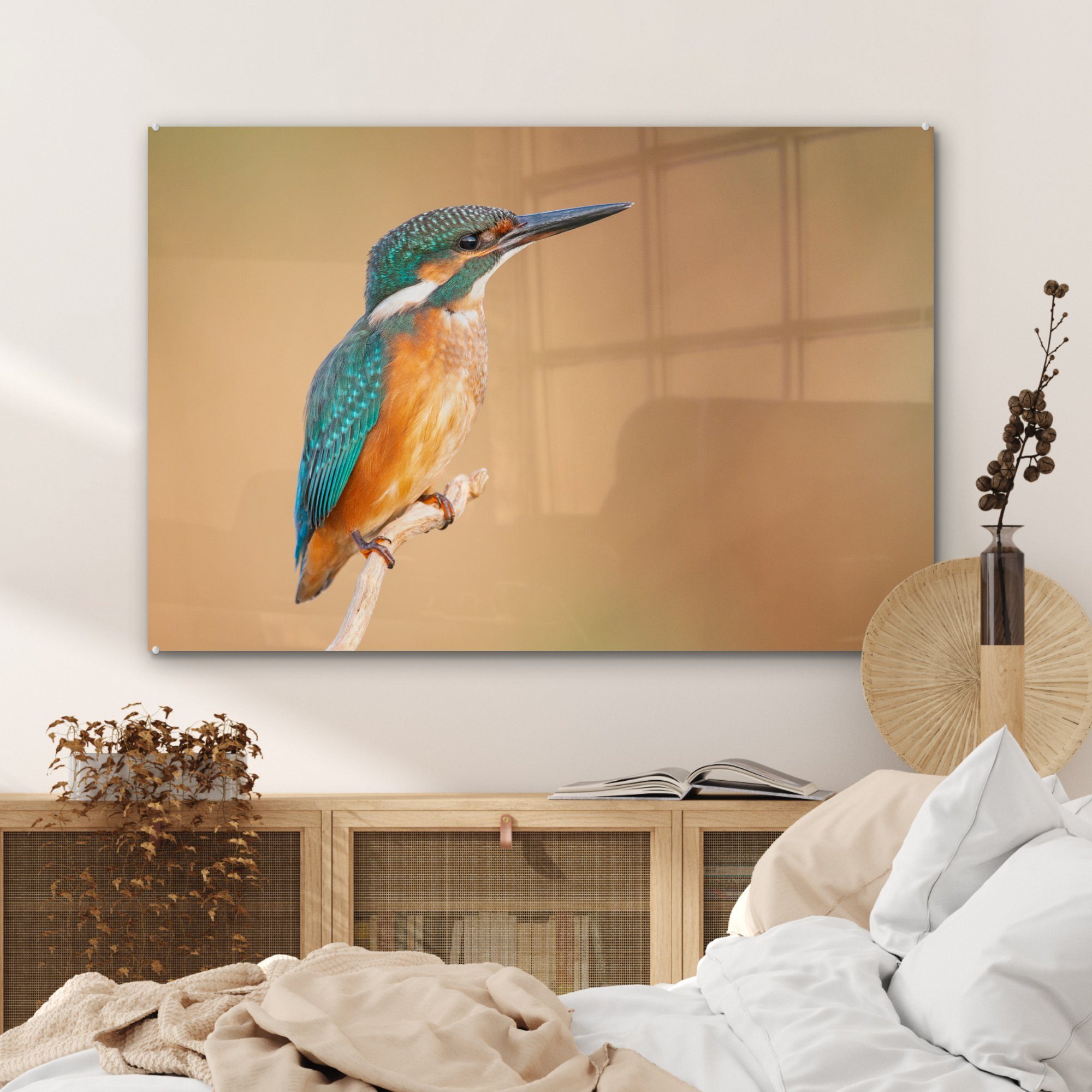 MuchoWow Acrylglasbild Eisvogel - Federn Acrylglasbilder & Wohnzimmer (1 - St), Äste, Schlafzimmer