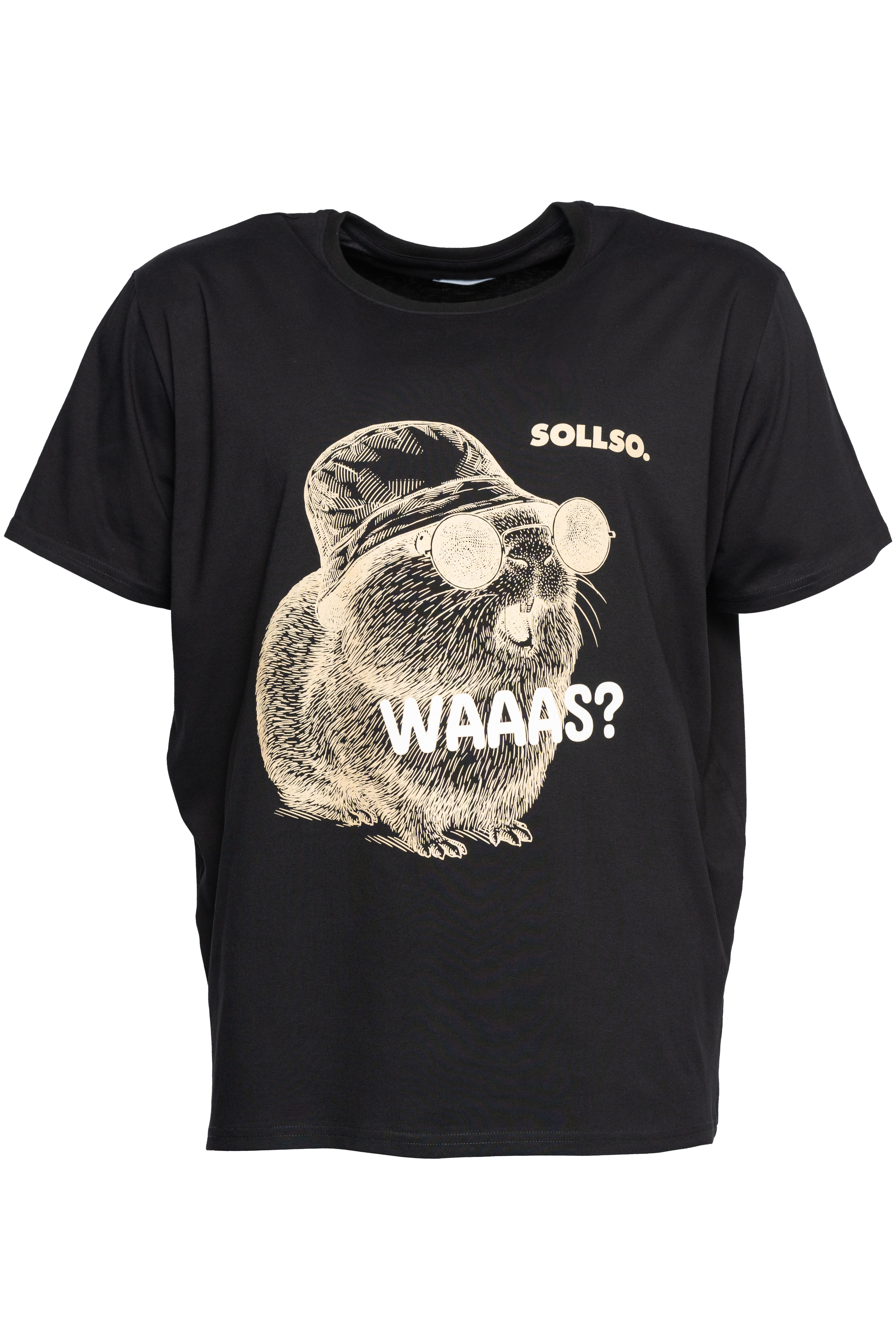 Sollso. T-Shirt SOLLSO. T-Shirt "Guinea Pig" günstig online kaufen