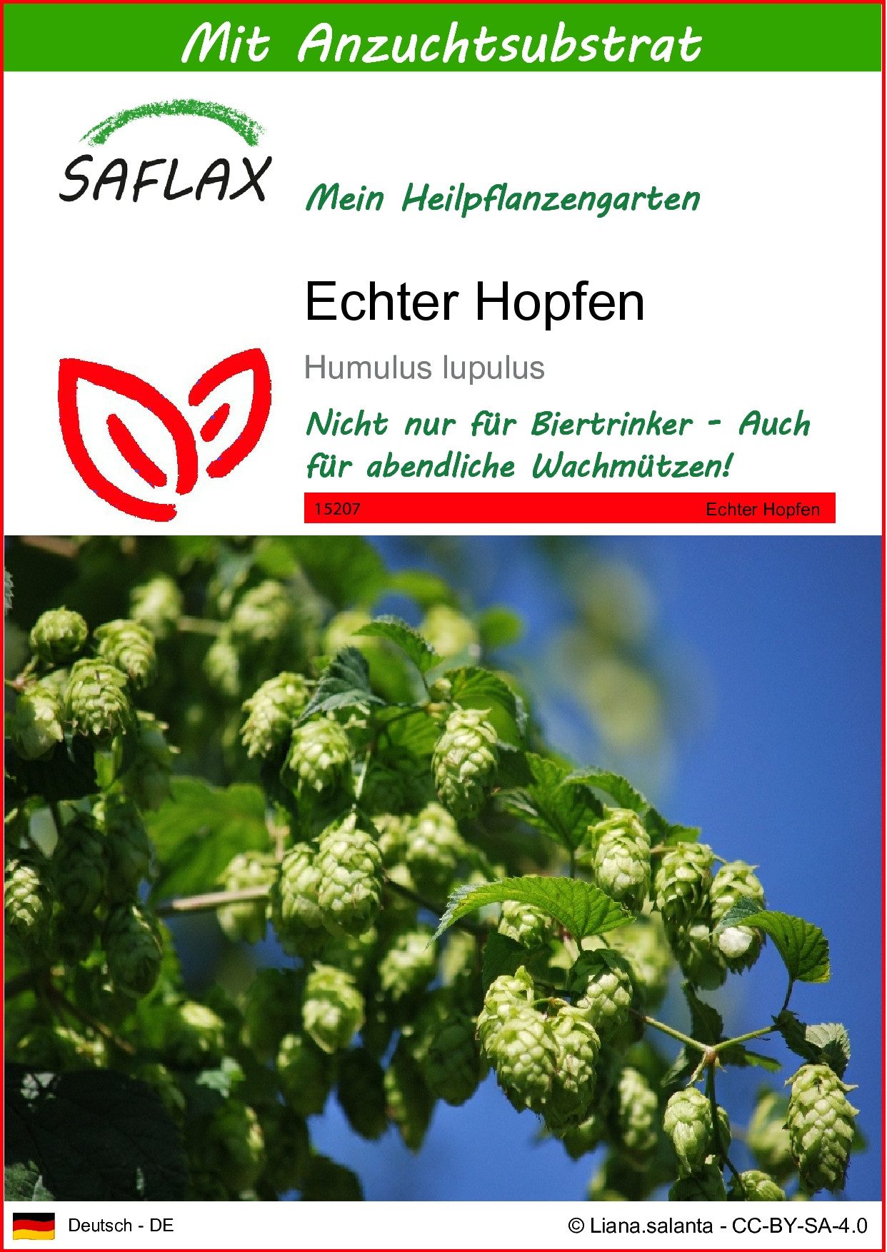 SAFLAX Blumensamen SAFLAX - Samen und Substrat - Echter Hopfen