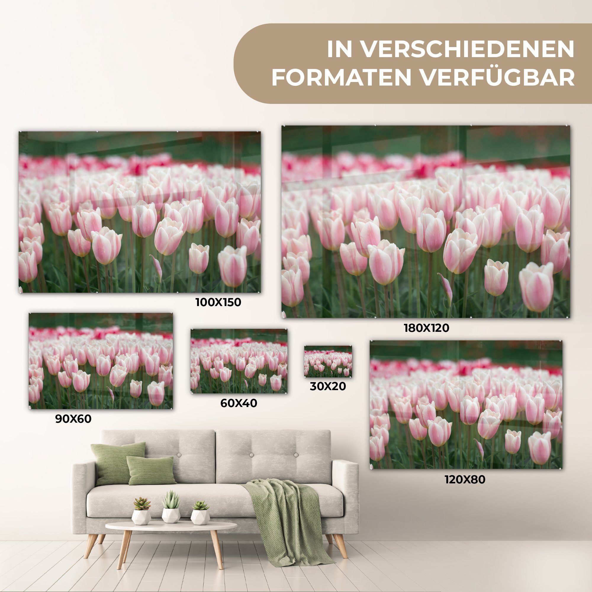 Acrylglasbild St), Schlafzimmer voller (1 Tulpen Blüte, MuchoWow in Acrylglasbilder & Rosa Wohnzimmer
