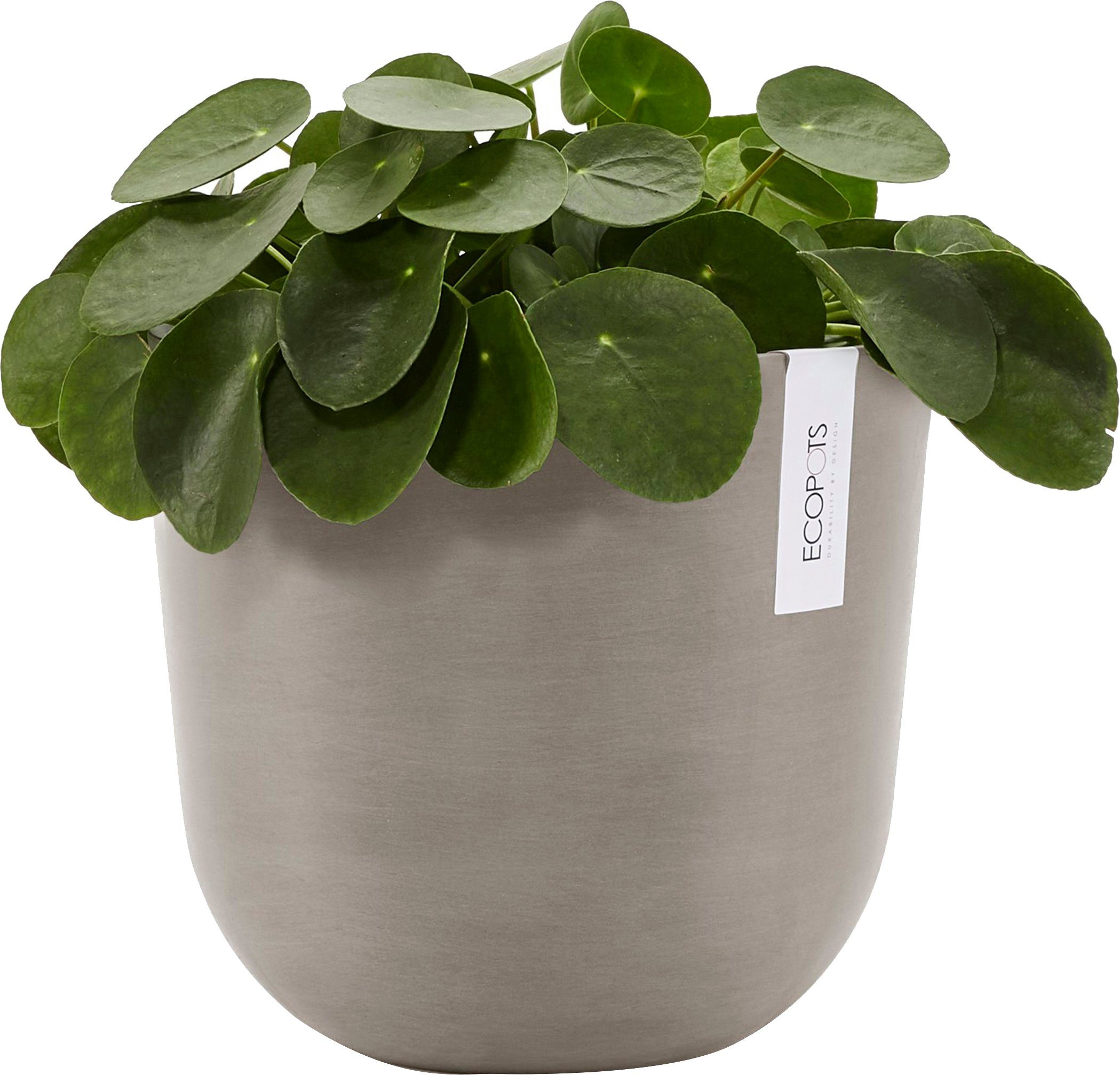 ECOPOTS Blumentopf Oslo 25 Taupe, für innen und außen: frostsicher, bruchsi günstig online kaufen