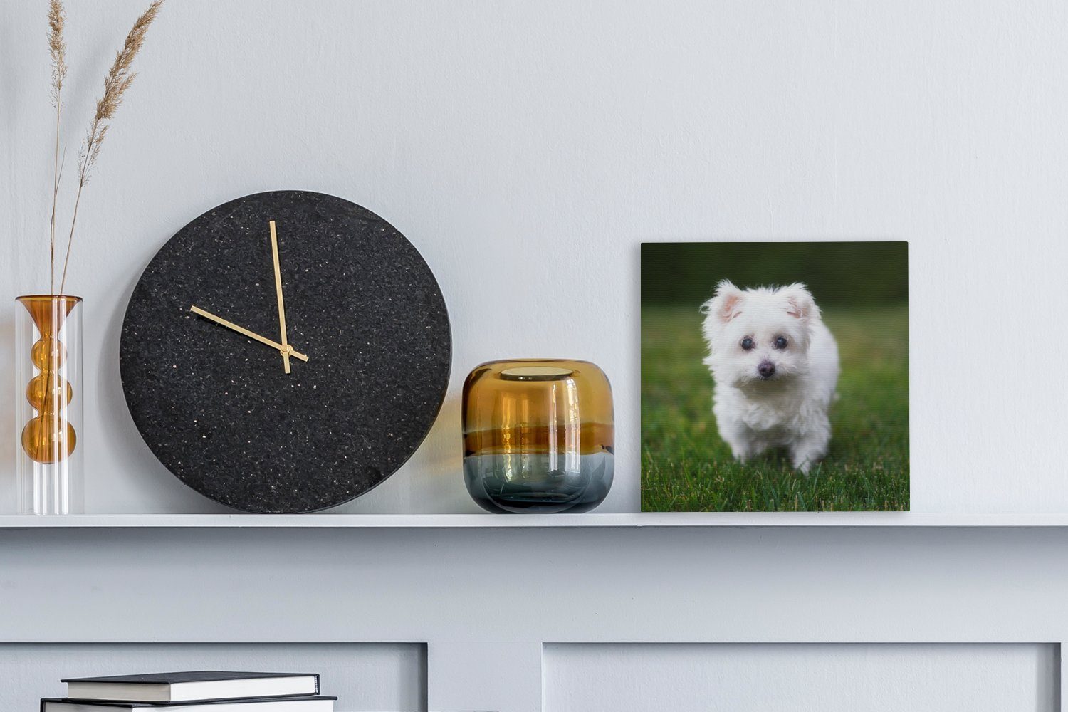 OneMillionCanvasses® Leinwandbild Malteser Hund einer Leinwand Wohnzimmer Schlafzimmer auf Bilder Wiese, (1 St), für