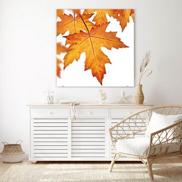 Primedeco Glasbild Wandbild Quadratisch Orange Herbstblätter mit Aufhängung, Natur