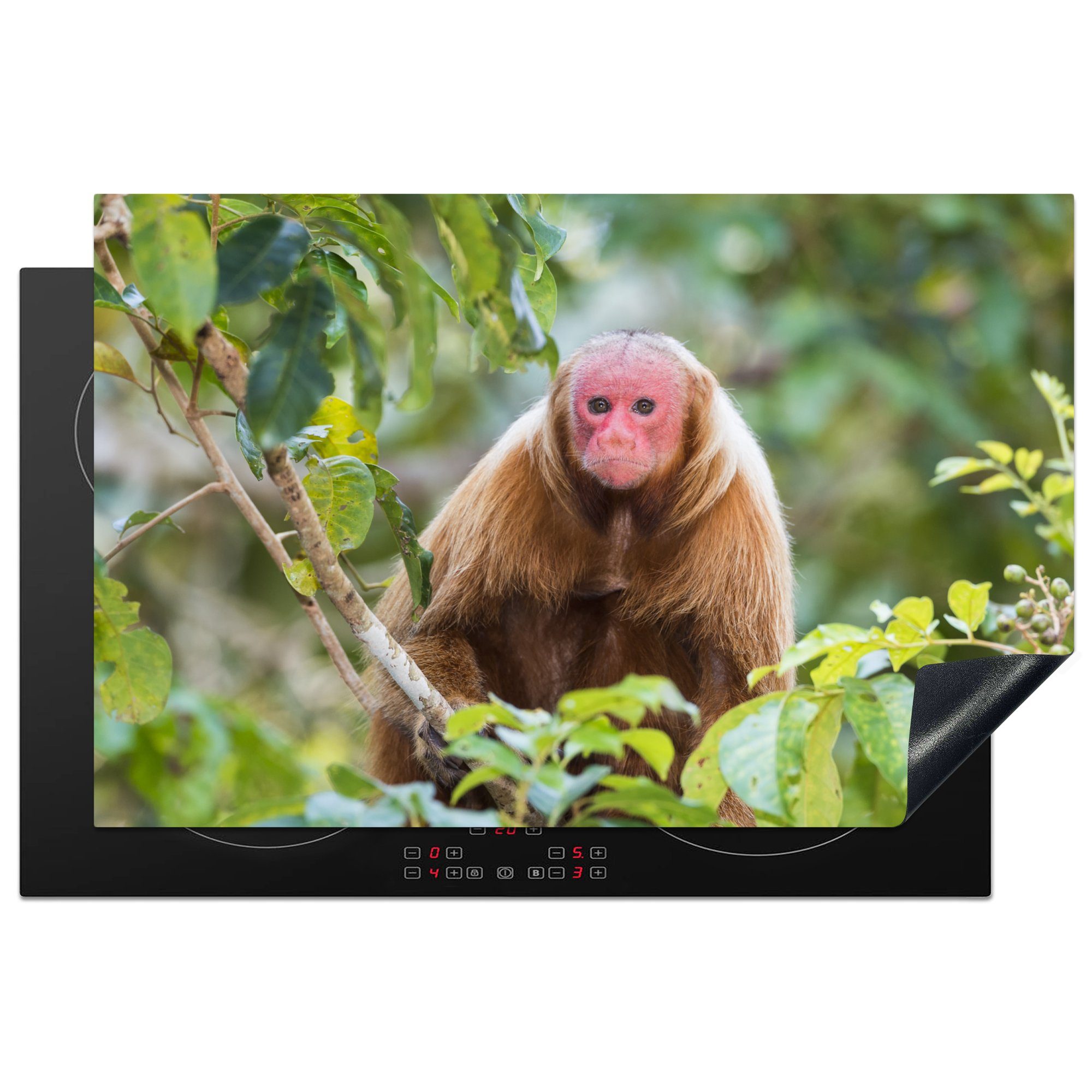 MuchoWow Herdblende-/Abdeckplatte Oeakari-Affe im Dschungel, Vinyl, (1 tlg), 81x52 cm, Induktionskochfeld Schutz für die küche, Ceranfeldabdeckung