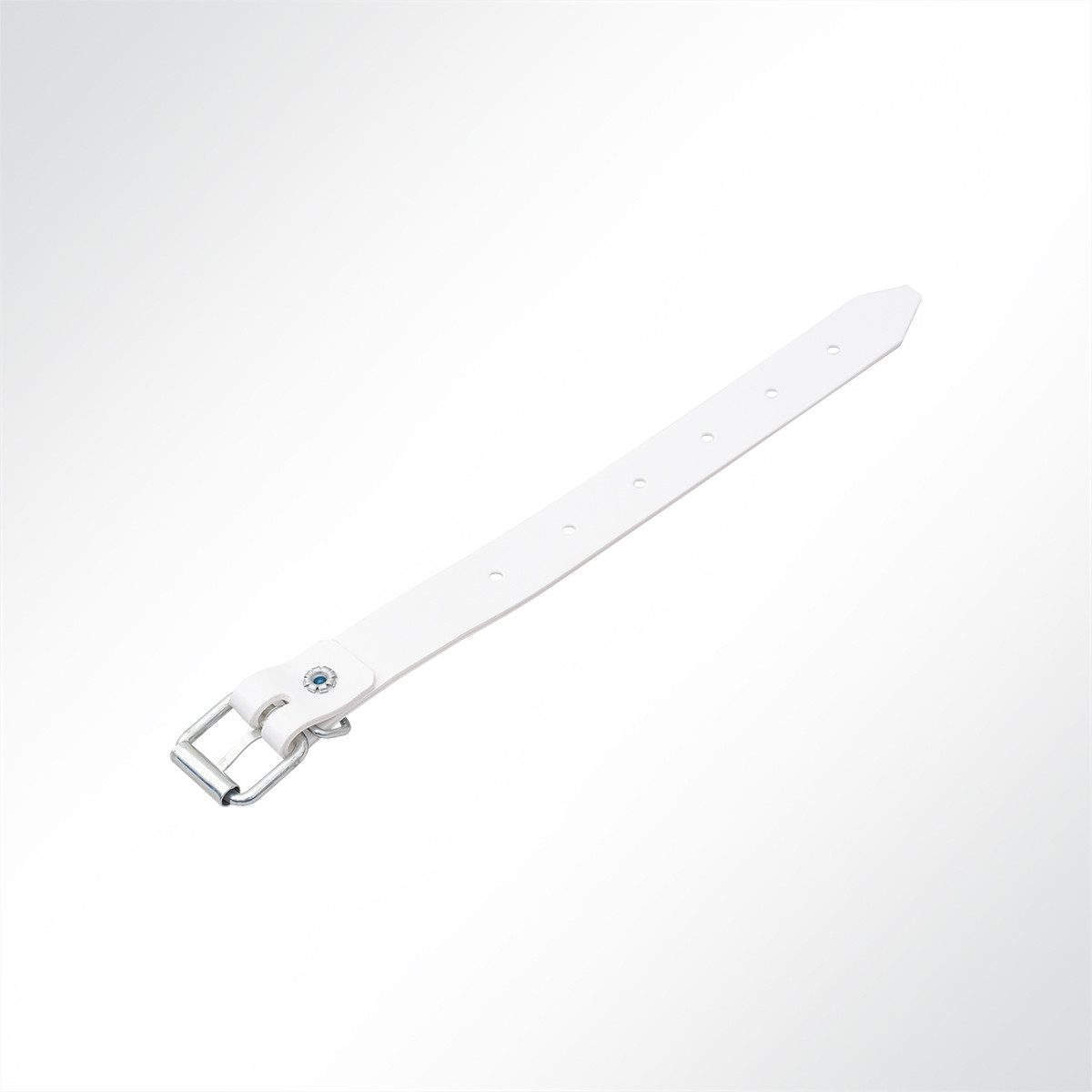 LYSEL® Schnallriemen mit Rollschnalle für Planen Weiß, Länge 200mm Gurtstecker (1-tlg), 200 x 20 mm [L x B]