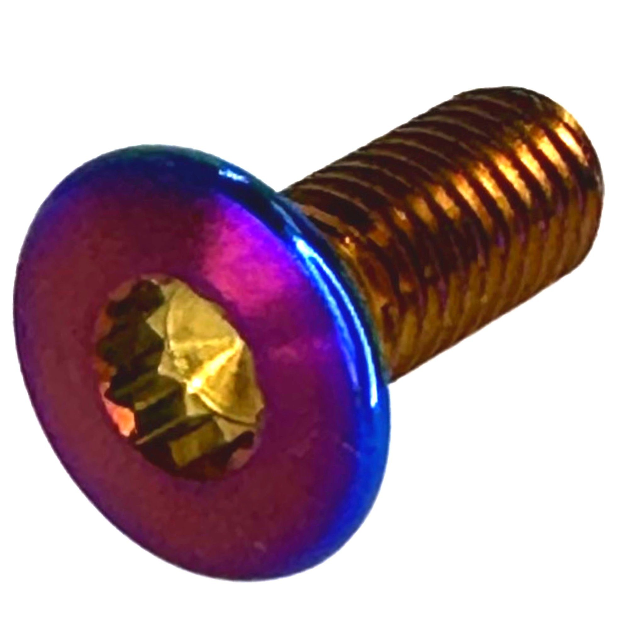 Fantic26 Schrauben-Set 1 x Titan M8 x23 Vielzahn Senkkopfschraube für Türschlossplatte VAG