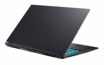 Hyrican Striker 1639 Gaming-Notebook (43,94 cm/17,3 Zoll, Intel Core i7 10870H, GeForce RTX 3070 Max.Q, 1000 GB SSD, 300 Hz Display)