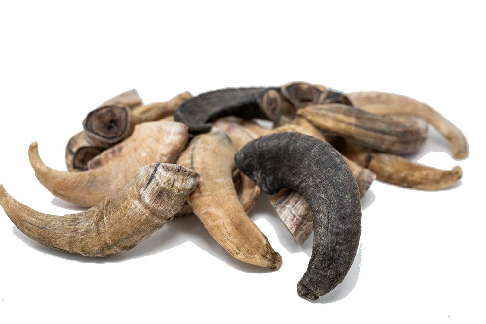 Petsoo Kauspielzeug, (1-tlg), Heidschnuckenhorn - Kauartikel für Hunde günstig online kaufen