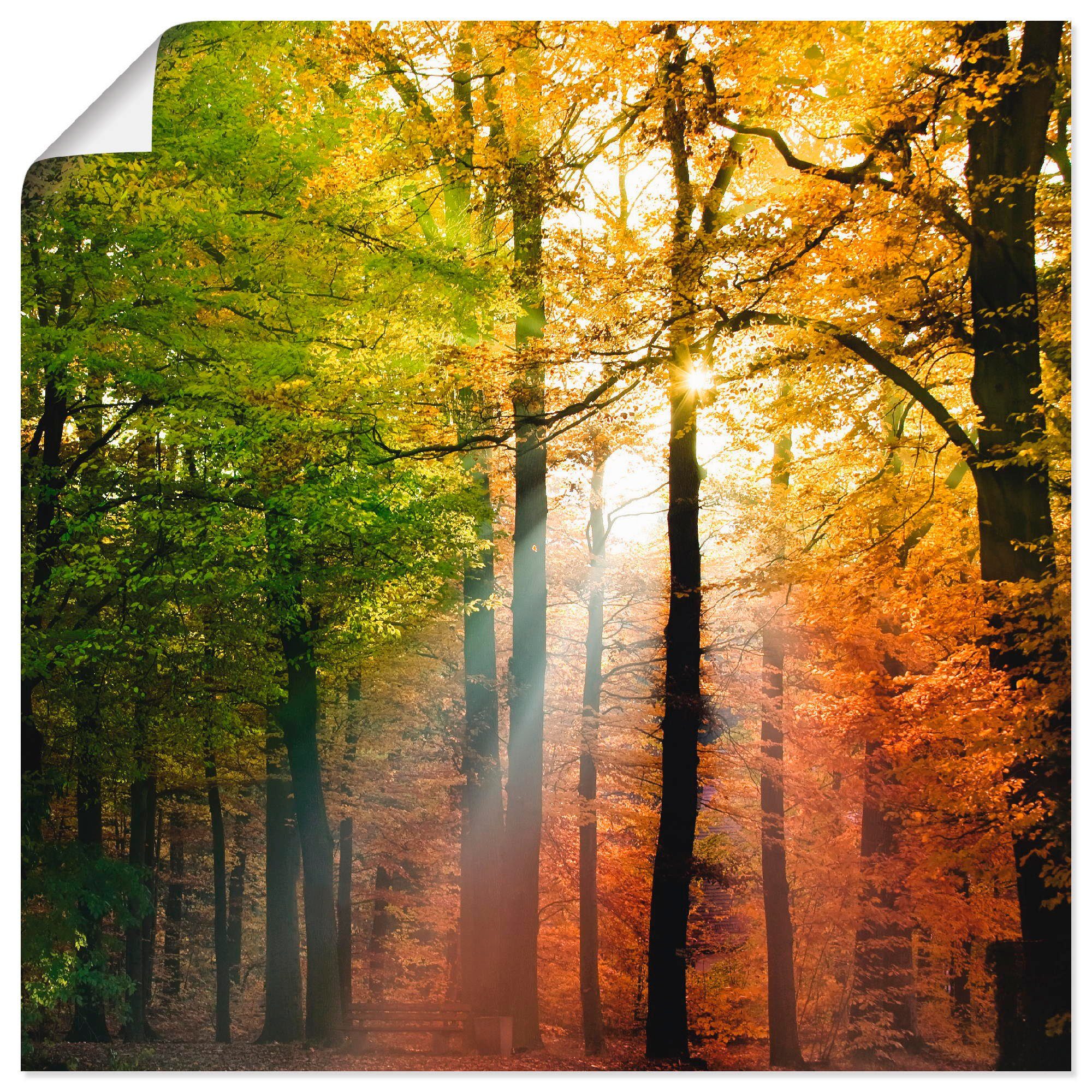 Artland Wandbild Schöner Herbsttag 2, Wald (1 St), als Alubild, Leinwandbild, Wandaufkleber oder Poster in versch. Größen