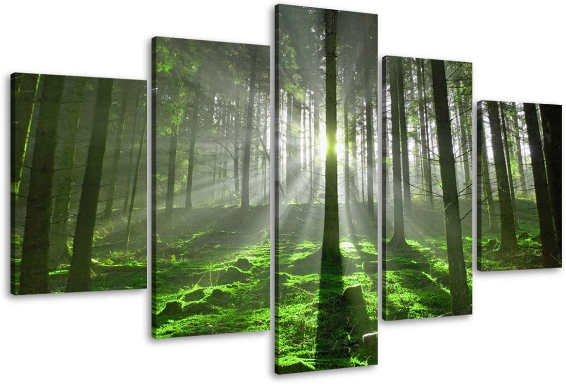 Visario Bild, 6406 günstig online kaufen