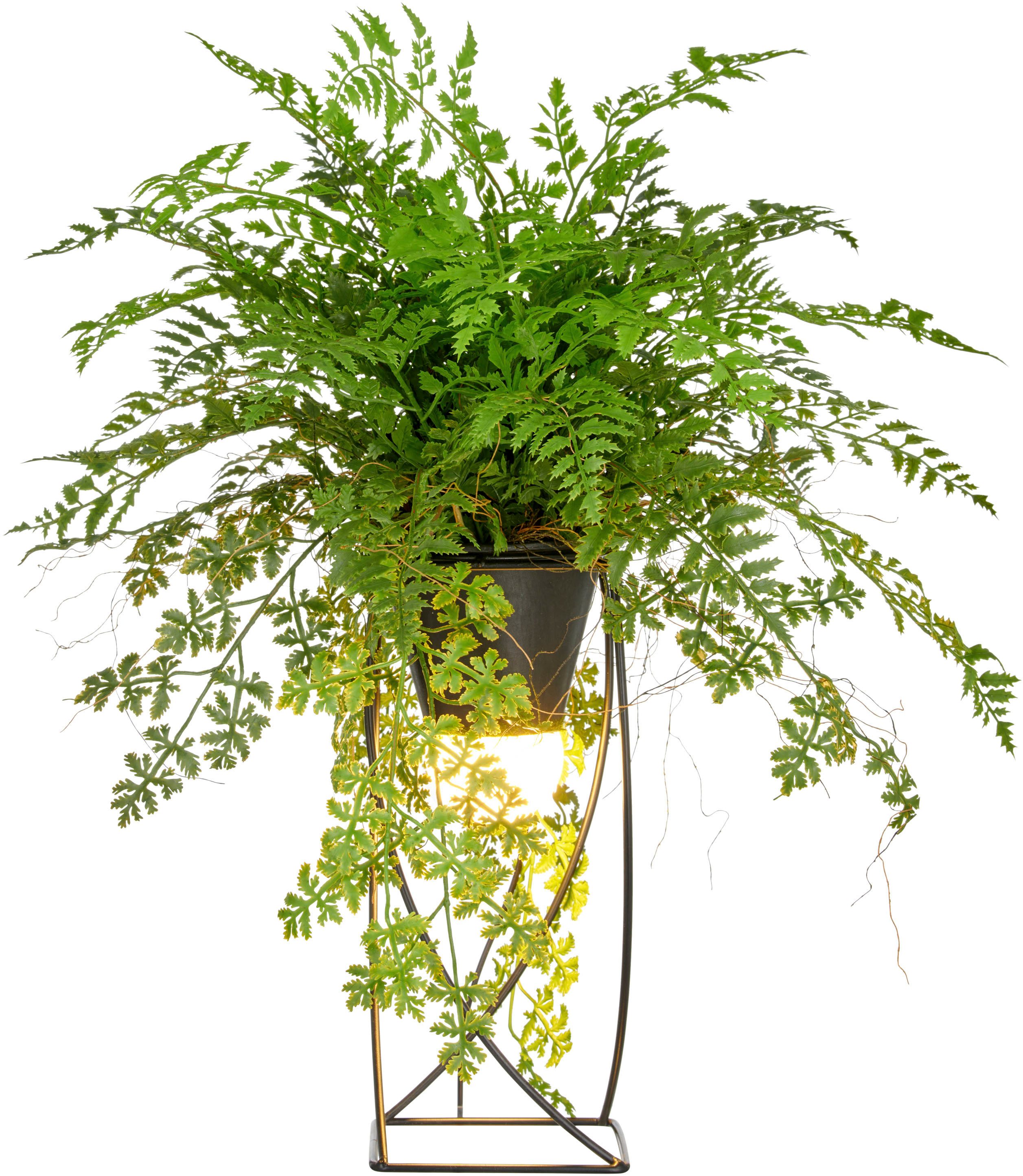 Kunstpflanze Farn als Dekostandleuchte, Creativ green, Höhe 60 cm, mit LED-Beleuchtung
