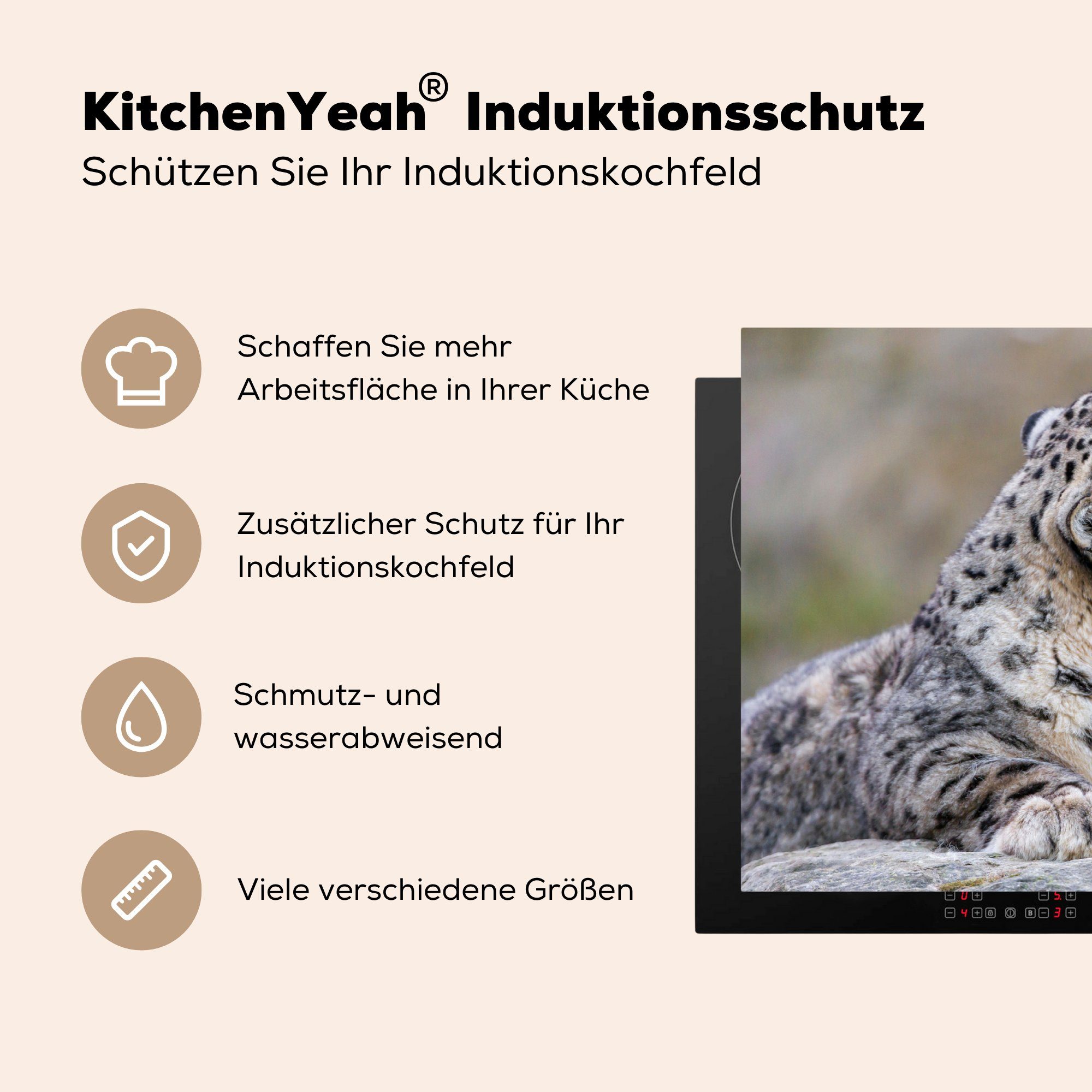 MuchoWow Herdblende-/Abdeckplatte Schneeleopard - Jungtier für Stein, (1 Arbeitsplatte 83x51 - küche cm, Vinyl, tlg), Ceranfeldabdeckung