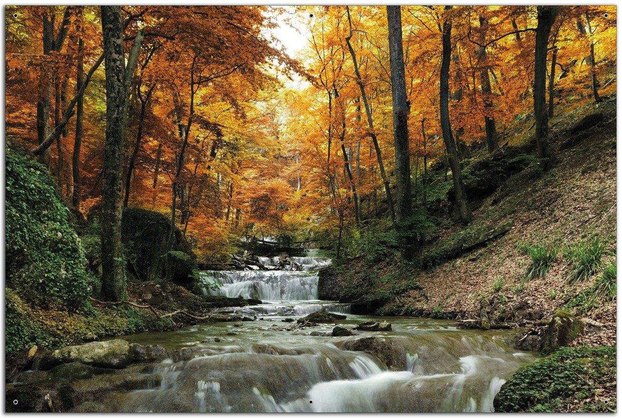 Wallario Sichtschutzzaunmatten Kleiner Bach über Steine im Herbstwald