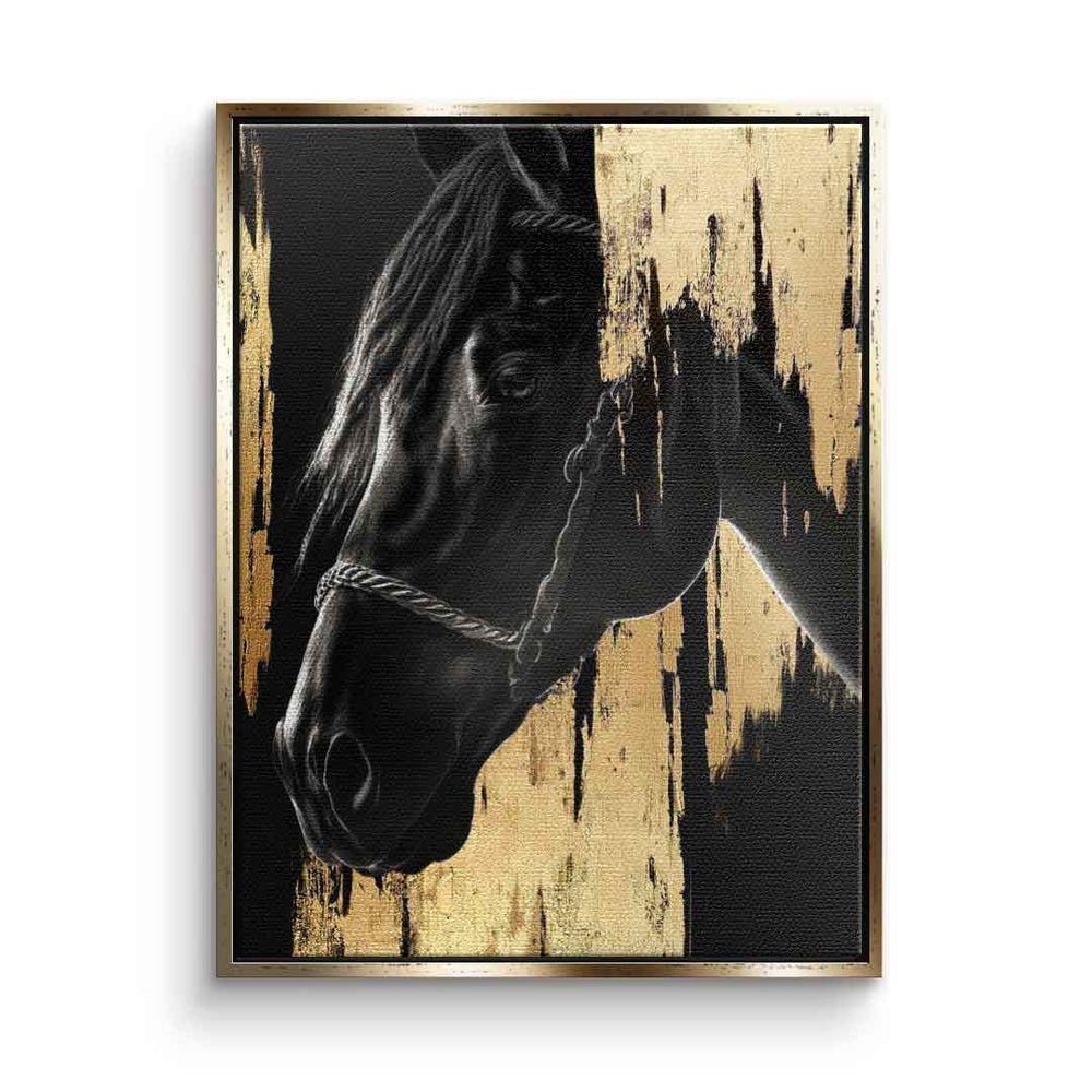 DOTCOMCANVAS® Leinwandbild, Leinwandbild Luxury Horse gold schwarz Pferd luxus Tier mit premium Ra goldener Rahmen