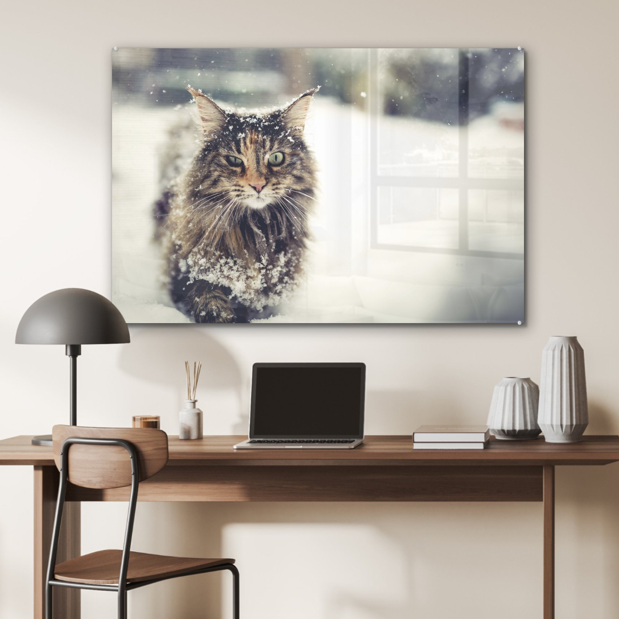 MuchoWow Acrylglasbild Katze Schnee Schlafzimmer St), - Acrylglasbilder Tiere, & - (1 Wohnzimmer