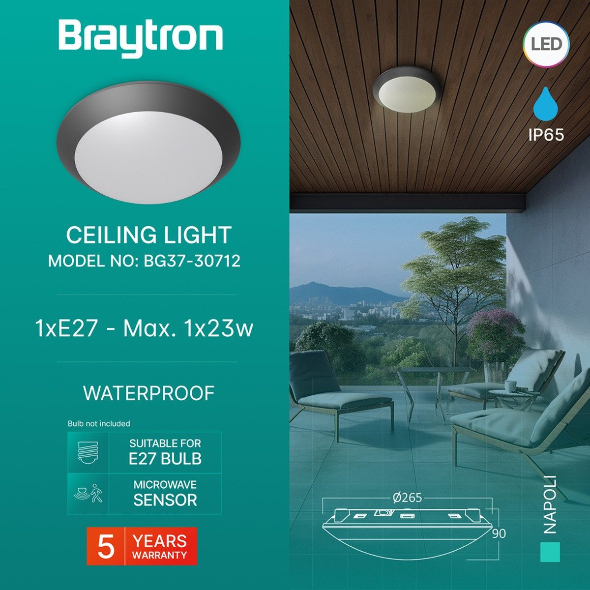 Braytron LED Deckenleuchte Außen Deckenlicht IP65 Ø265mm – E27 Fassung Bewegungsmelder, ohne Leuchtmittel, IP65 wasserdicht, Für den Außenbereich geeignet