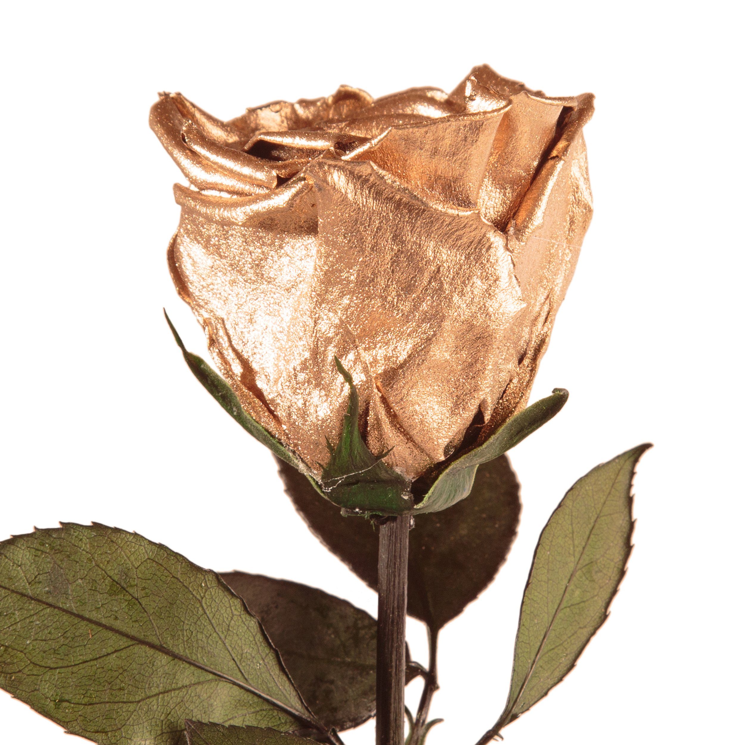 Kunstblume Ewige Rose konserviert mit Stiel günstig online kaufen