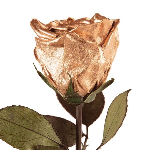 Kunstblume »Echte ewige Infinity Rose konserviert mit Stiel haltbare Rose« Rose, ROSEMARIE SCHULZ Heidelberg, Höhe 50 cm, Valentinstag Geschenk für sie Rose