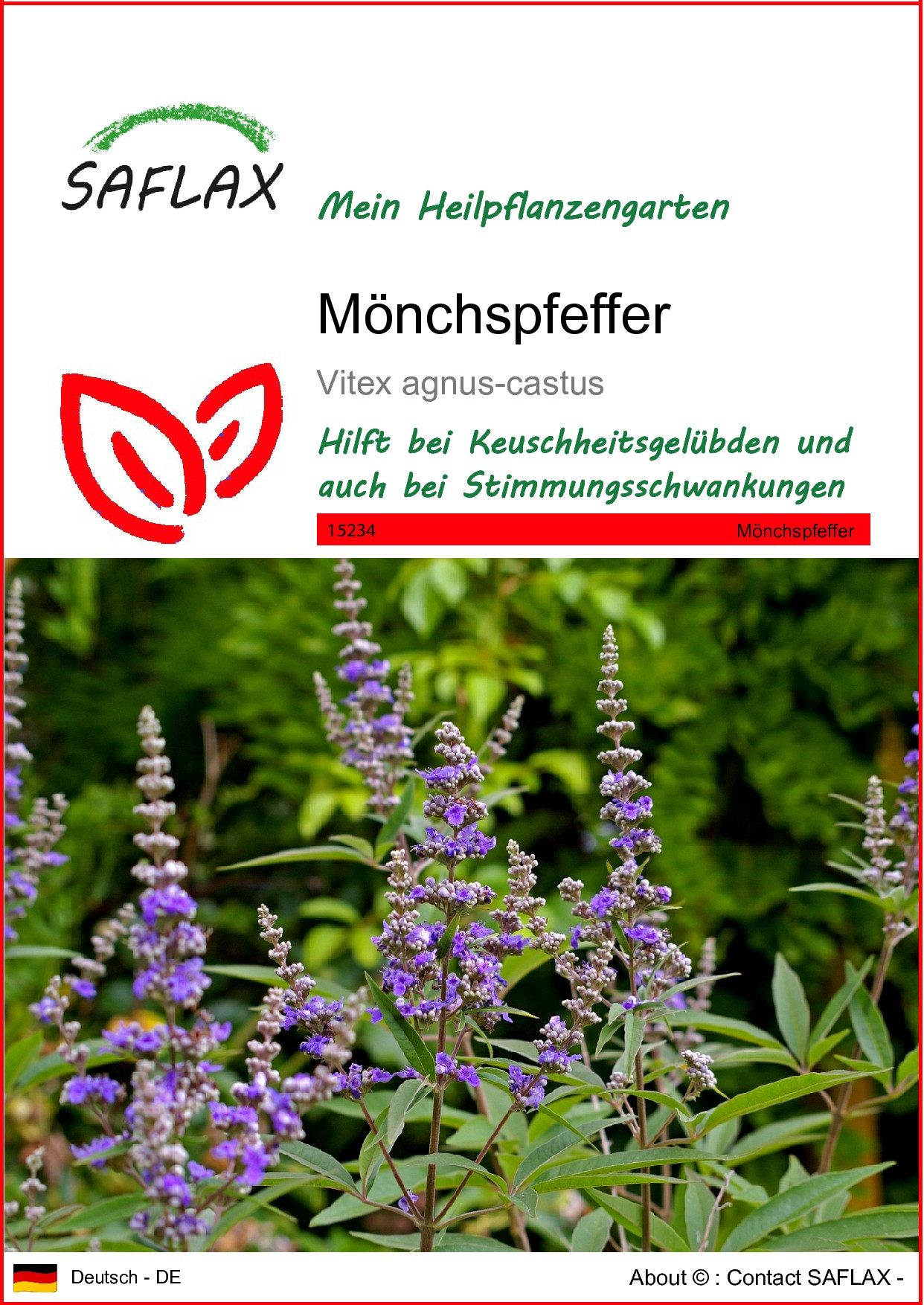 Blumensamen SAFLAX - Samen - Mönchspfeffer