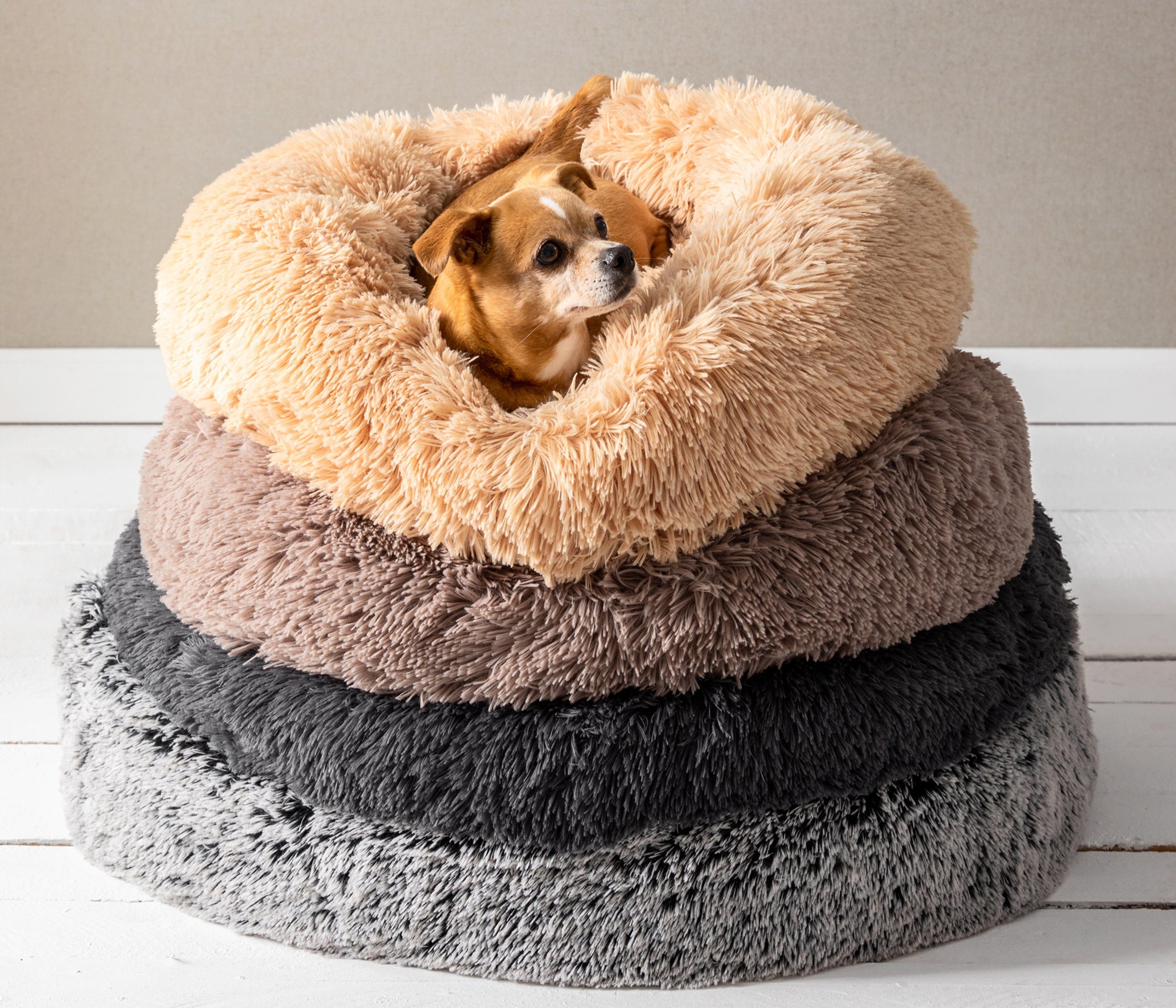 Dehner Tierbett Hunde-/Katzenbett Cookie, verschiedene Größen,  pflegeleichtes Plüsch Hundebett/Katzenbett, Wende-Liegekissen, Plüschig  weiches Bettchen: einfach einsinken und herrlich entspannen