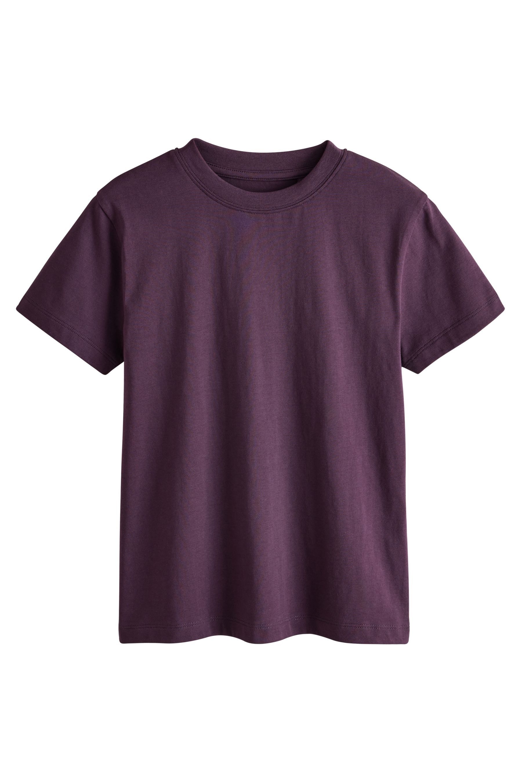 Next T-Shirt Regular Fit Kurzarm-T-Shirt (1-tlg)