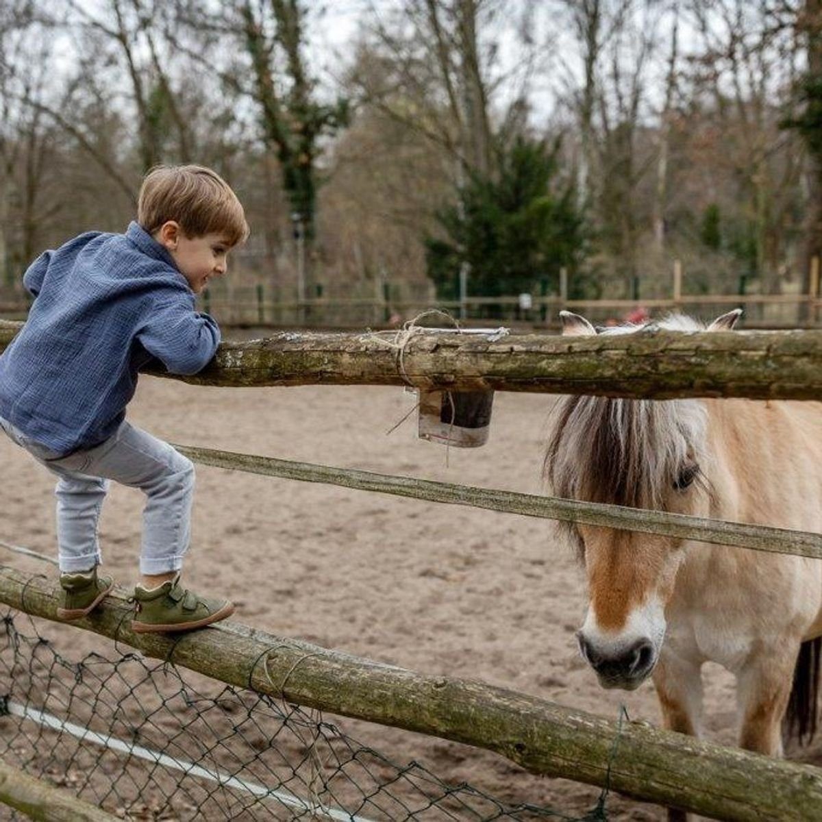 Winterstiefel Barfuß Bio Kinderschuhe, Grün mit gefüttert POLOLO Wolle