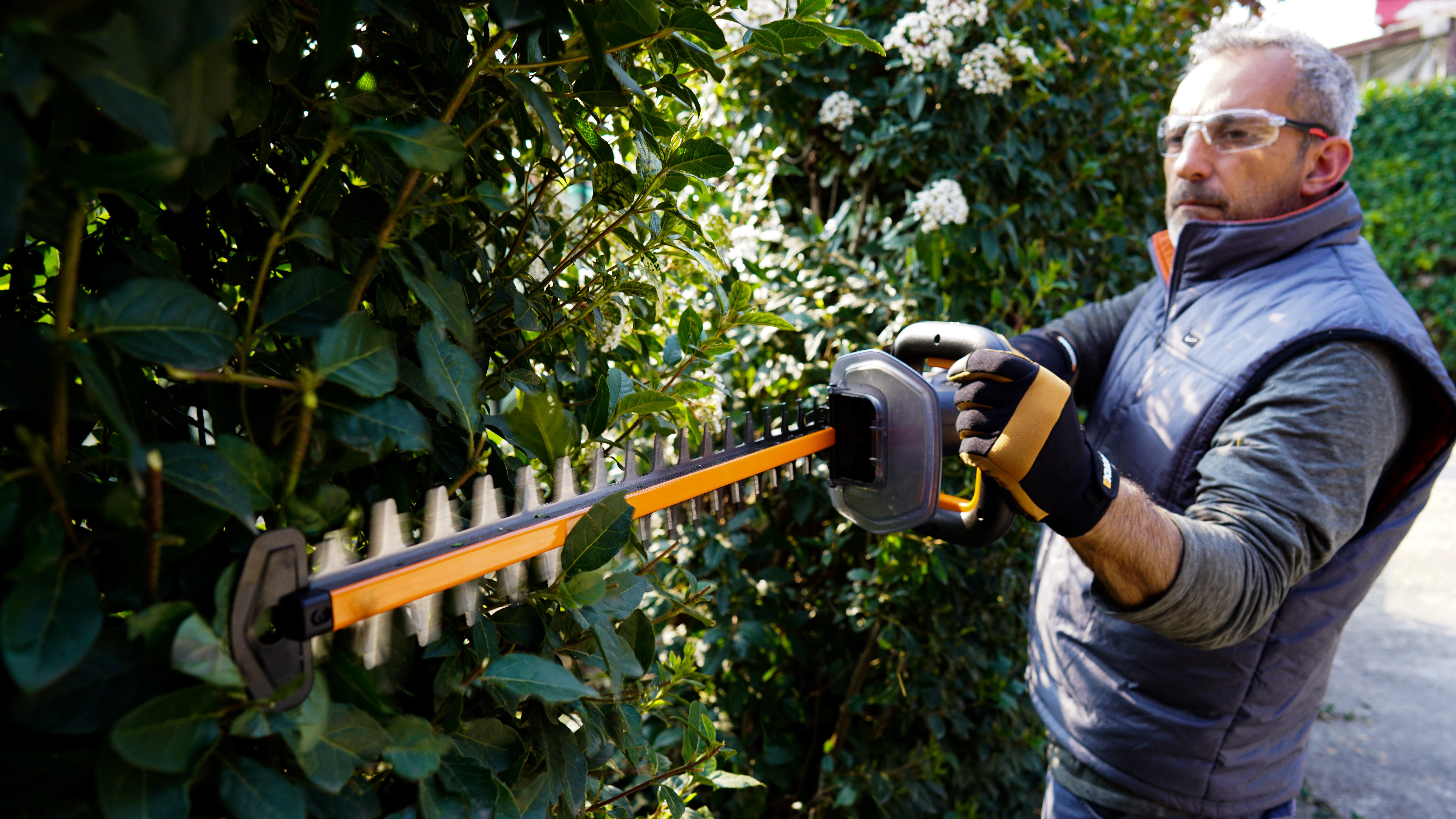 Worx Akku-Heckenschere WG263E.9 Nitro, 54 cm Schnittlänge, 27 mm Zahnabstand, ohne Akku und Ladegerät